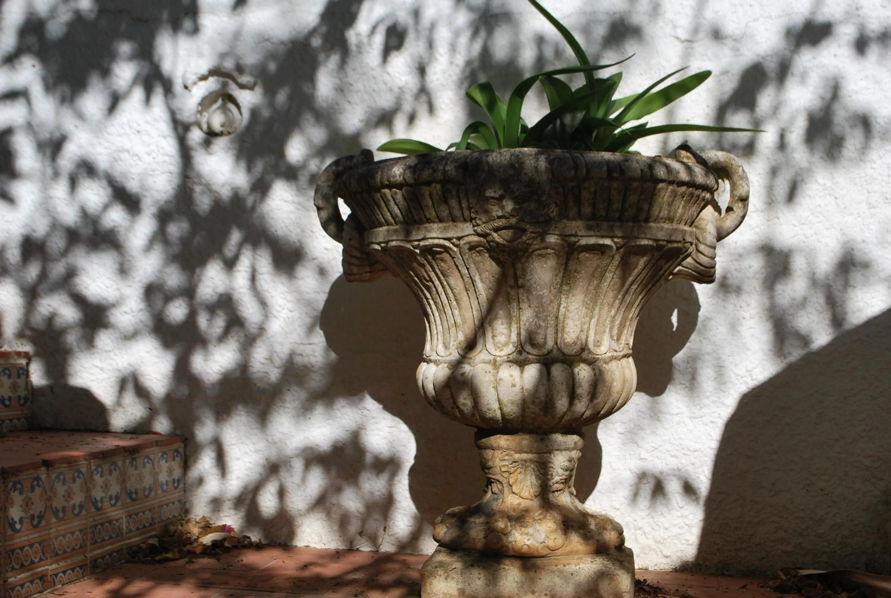 Garden in Albergaria do Lageado