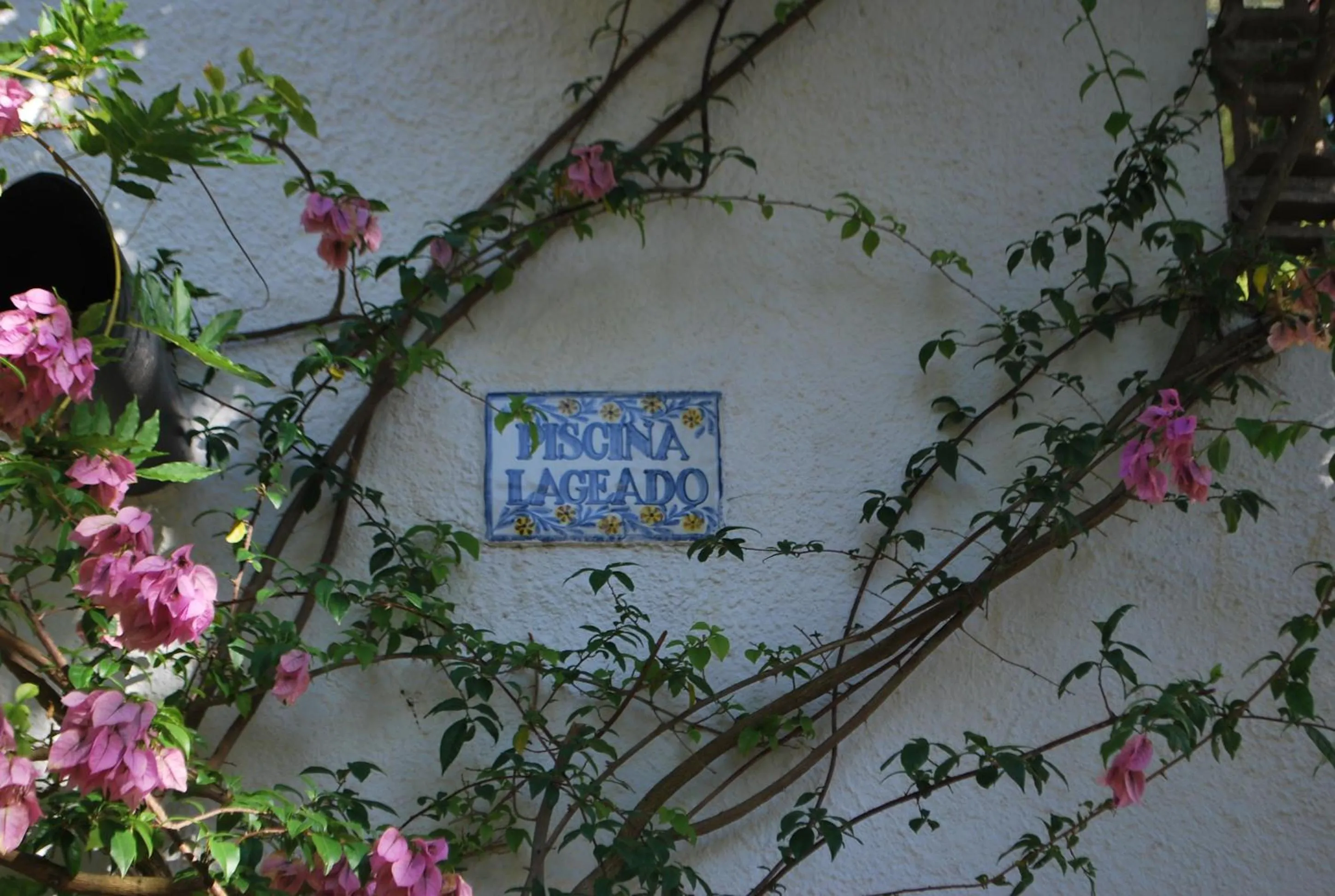 Swimming pool in Albergaria do Lageado