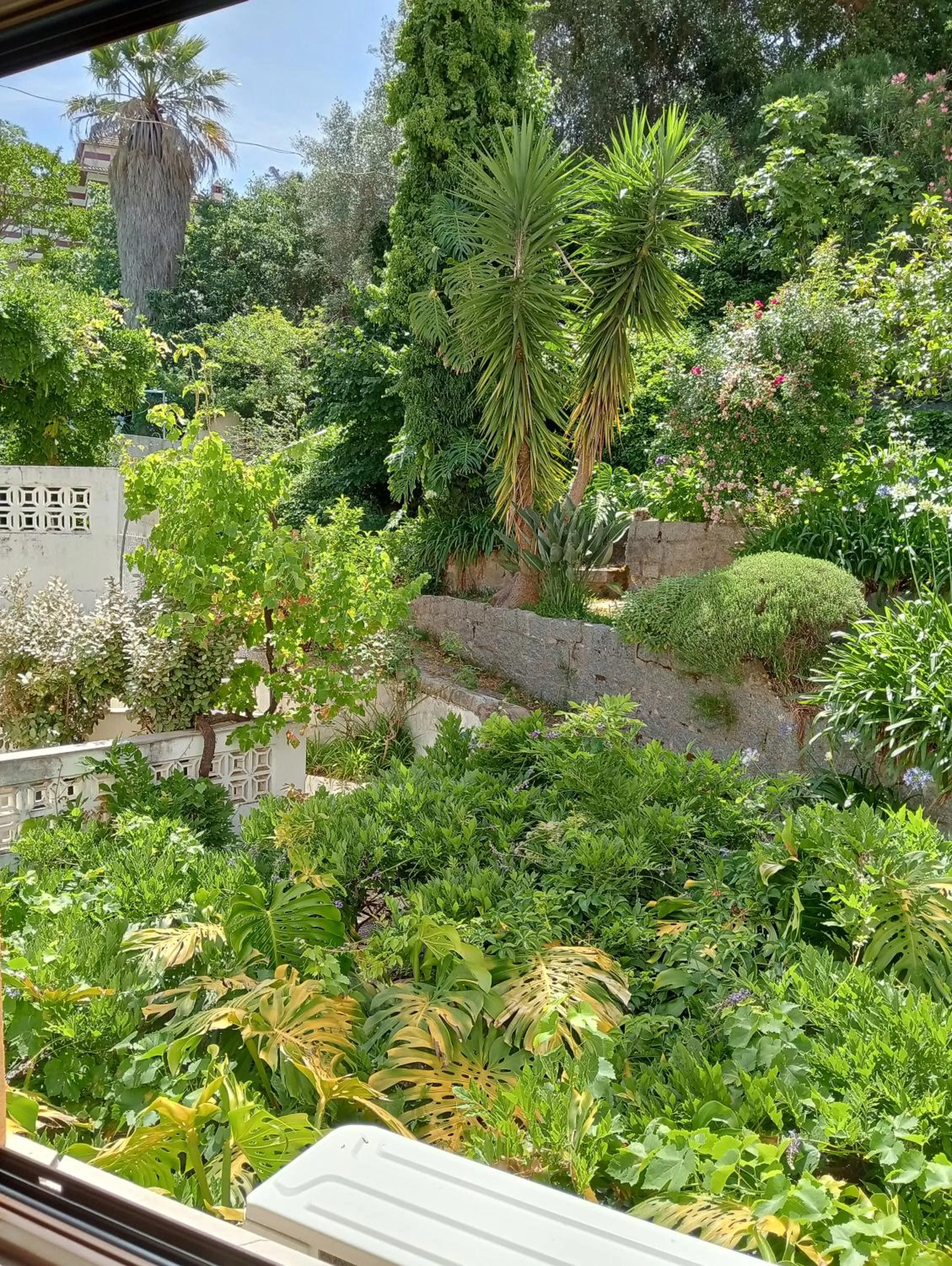 View (from property/room) in Albergaria do Lageado