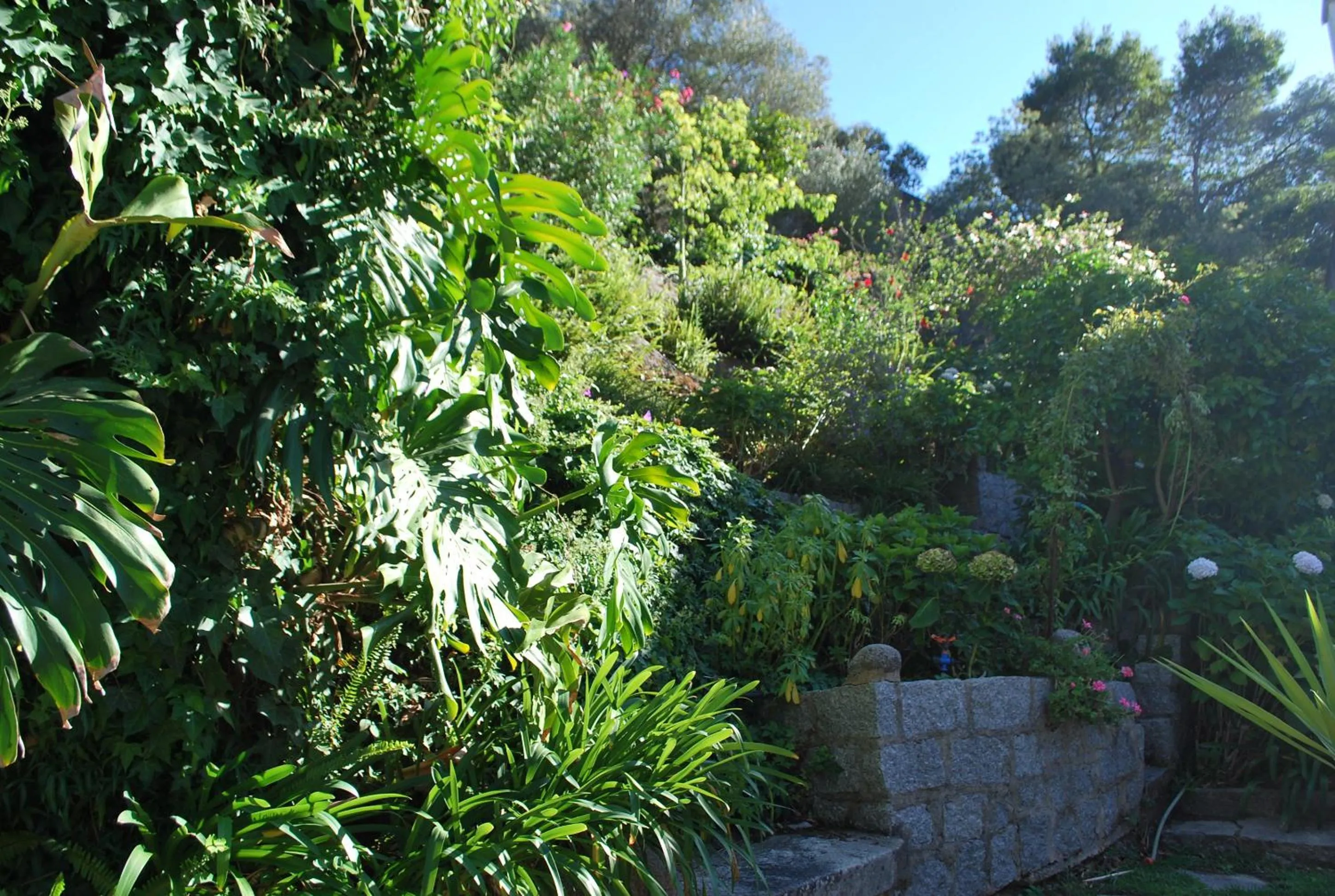 Garden in Albergaria do Lageado