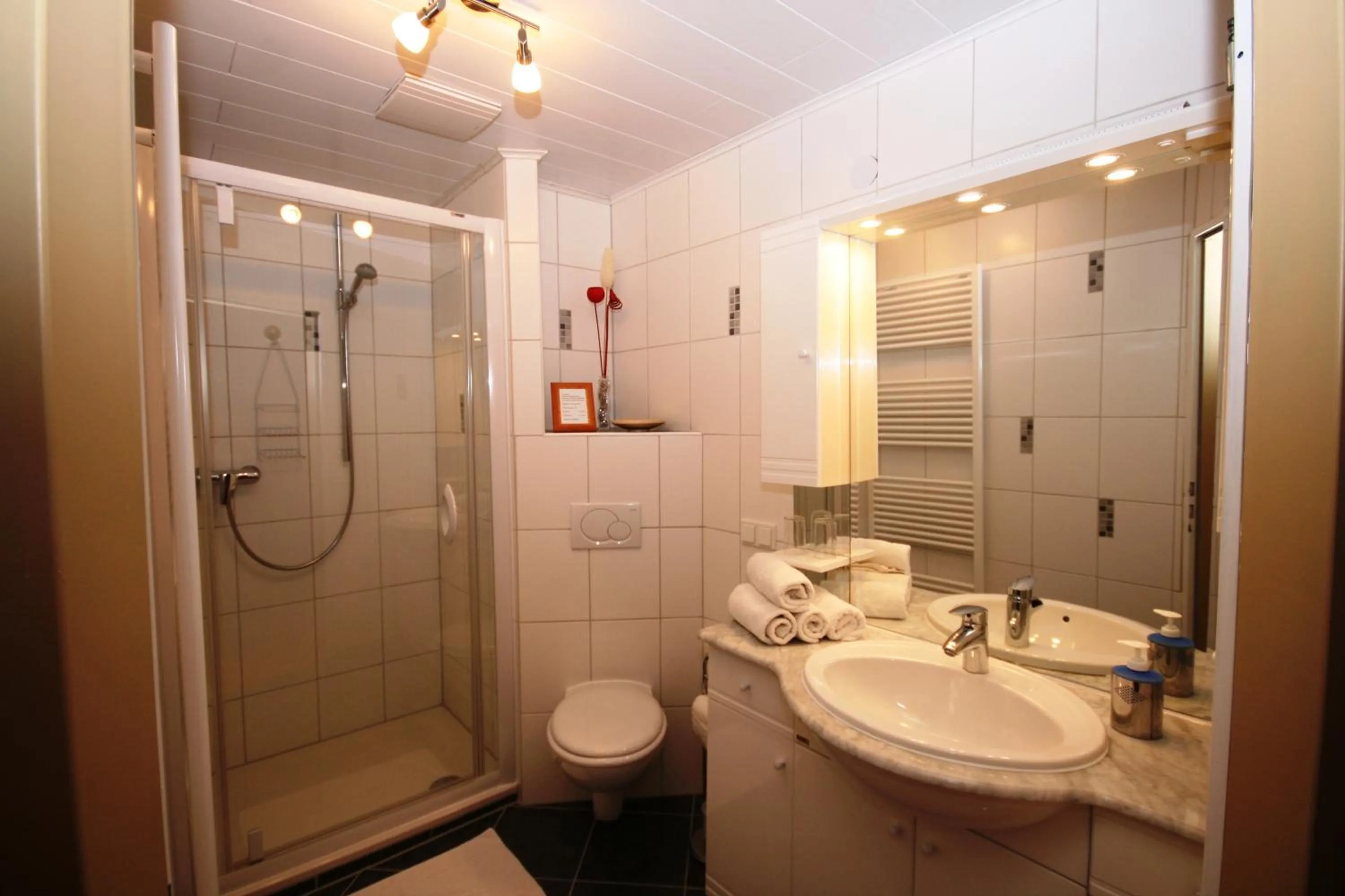 Bathroom in Hotel Burgblick