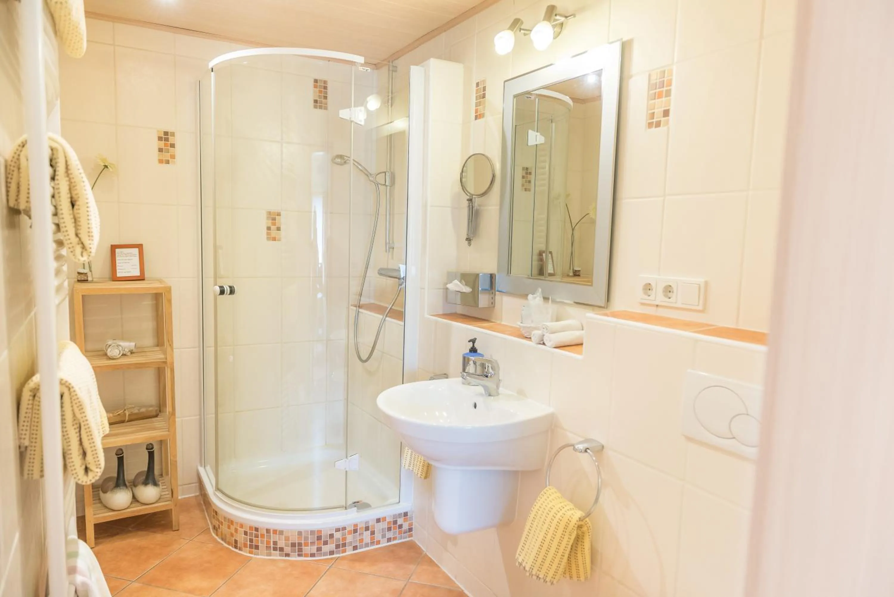 Shower in Hotel Burgblick