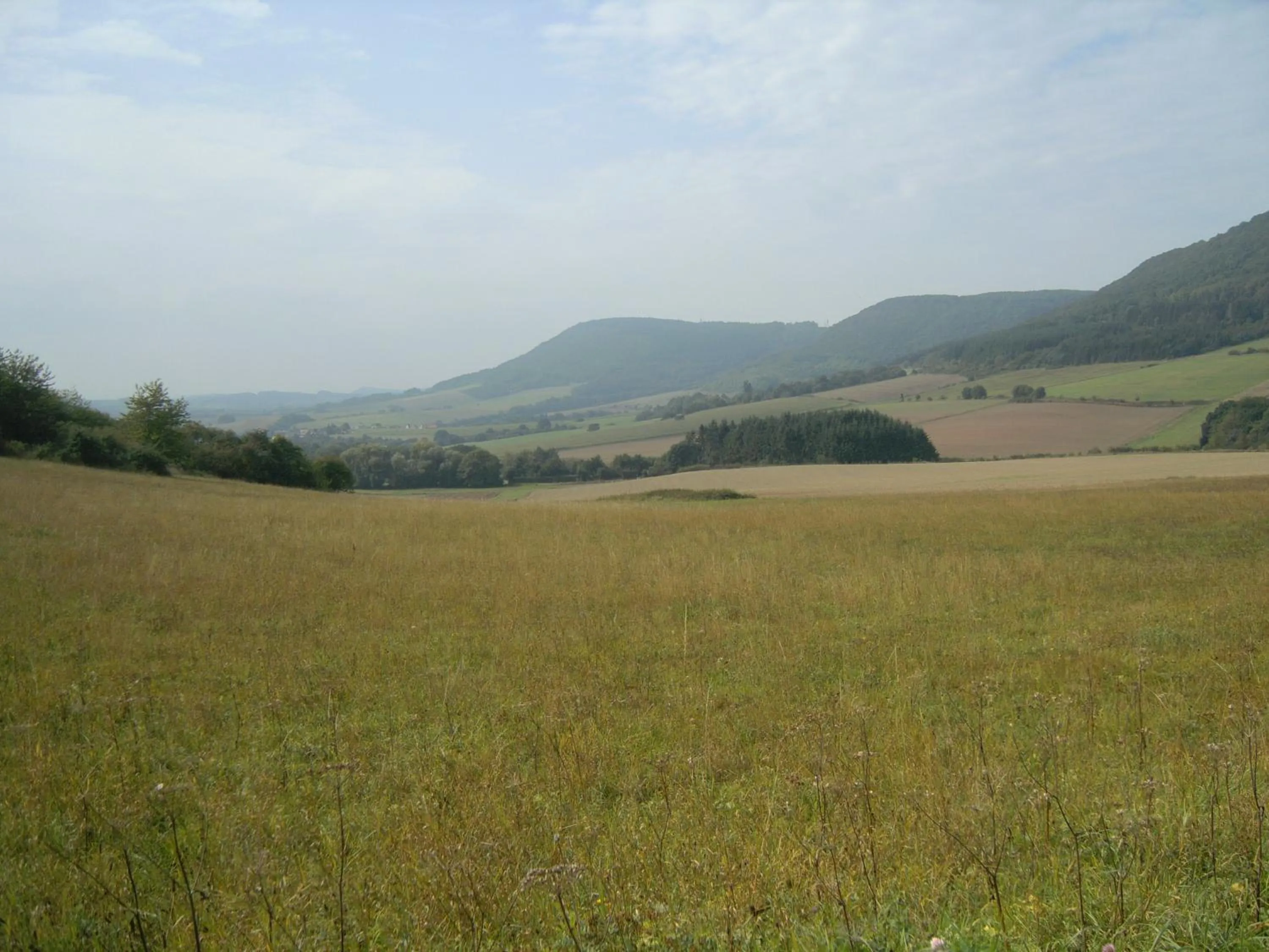 Nearby landmark in Hotel Burgblick