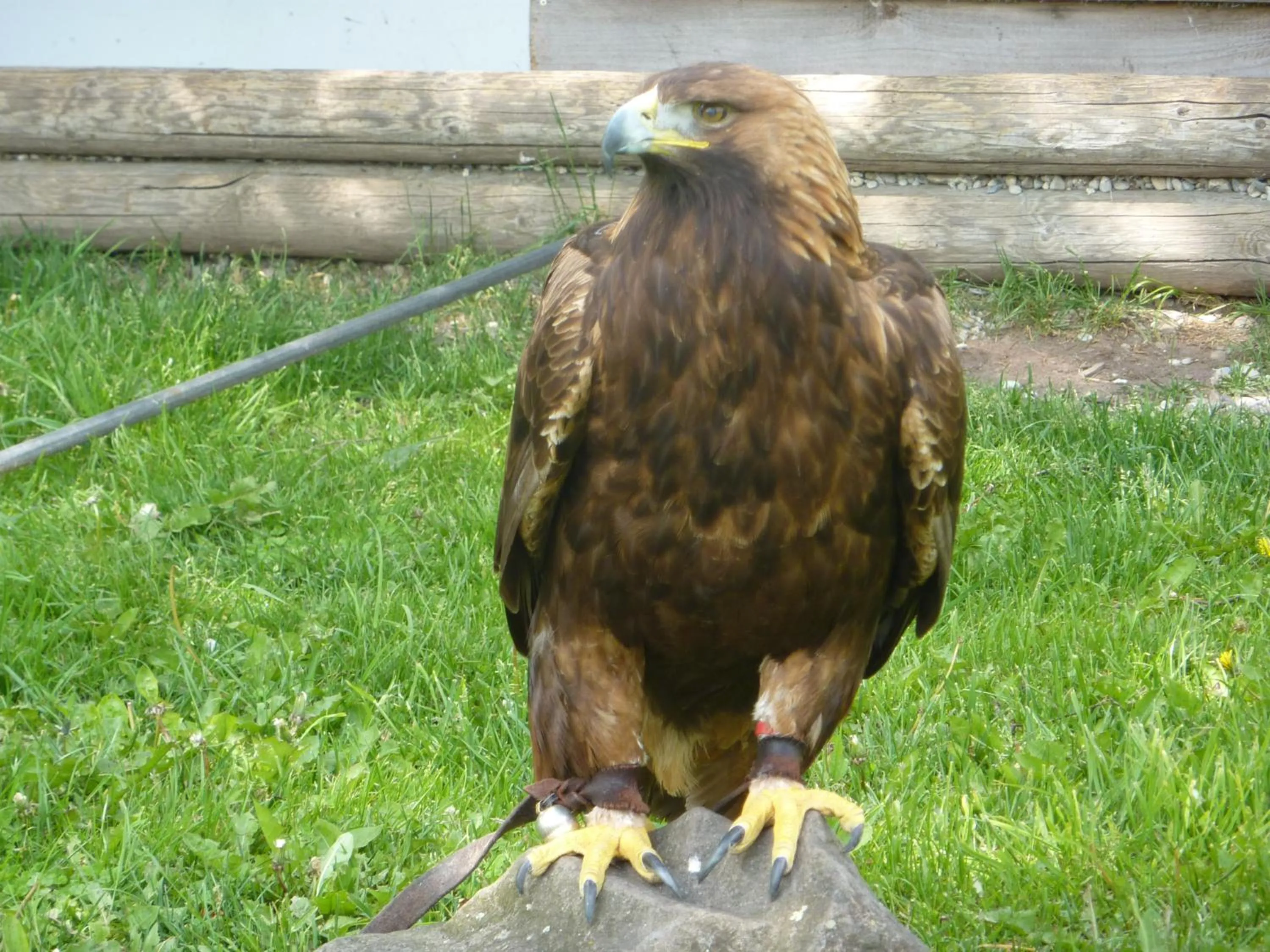 Nearby landmark in Hotel Burgblick