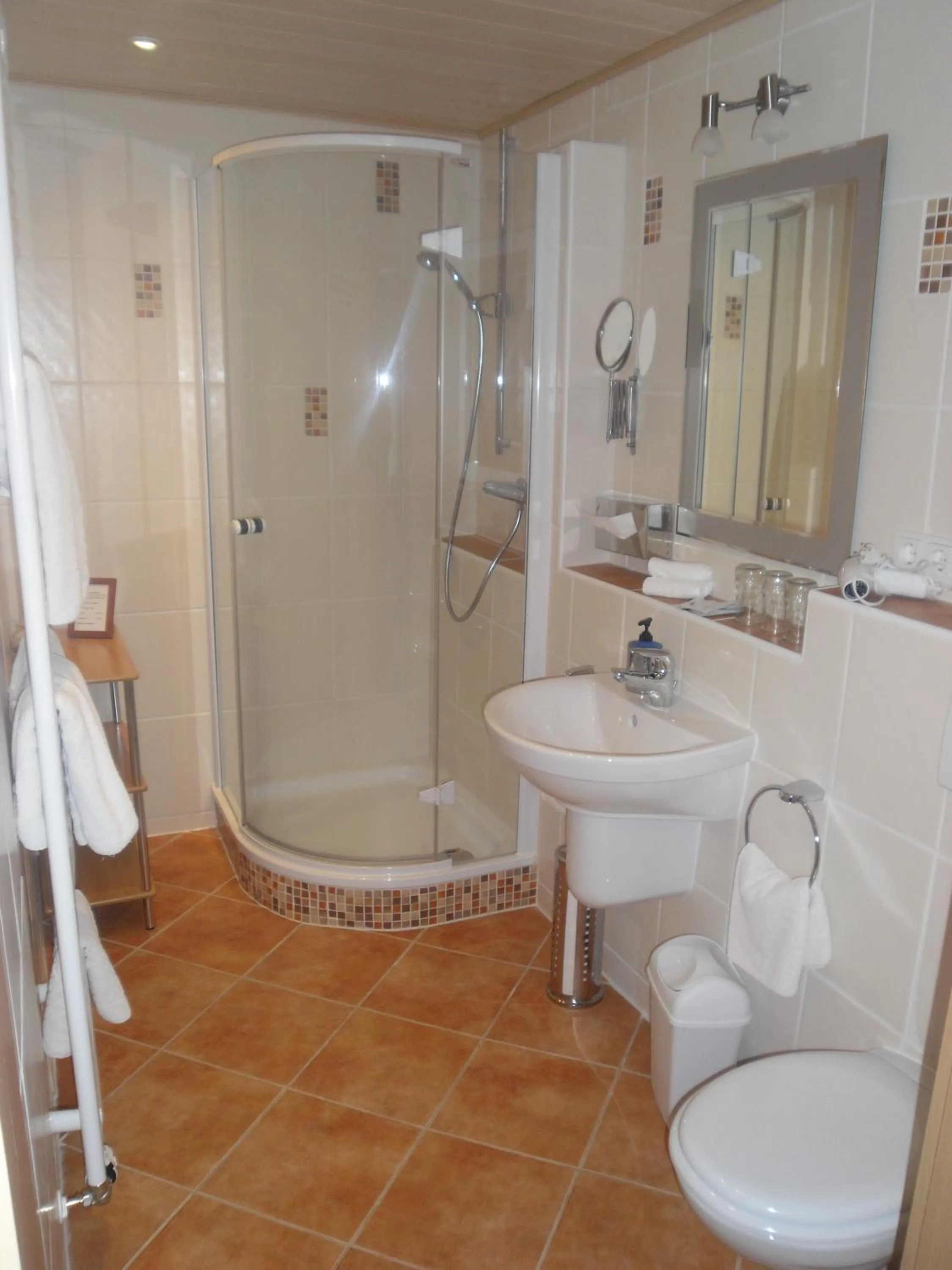 Bathroom in Hotel Burgblick