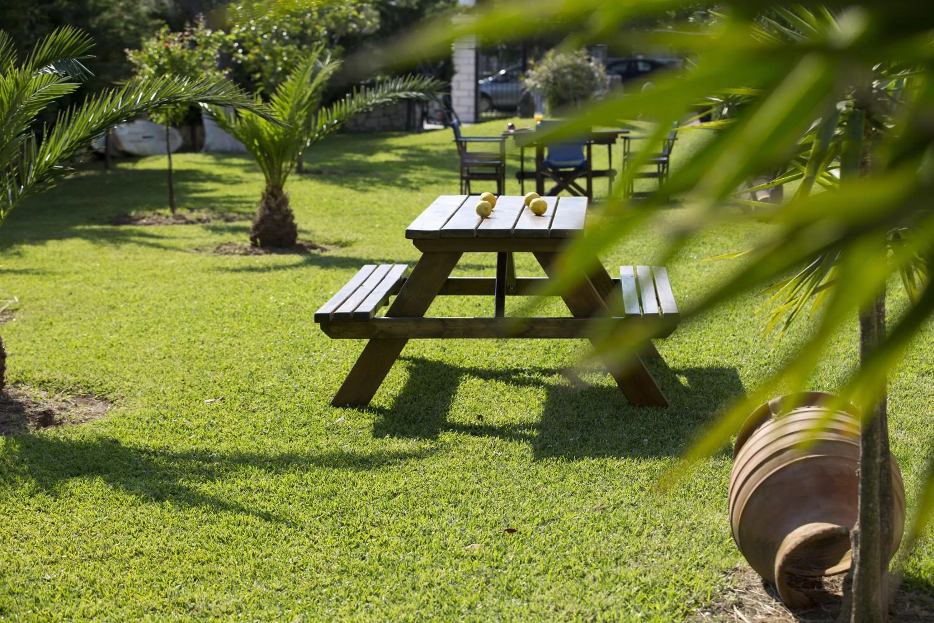 Garden in Villa Elia Resort