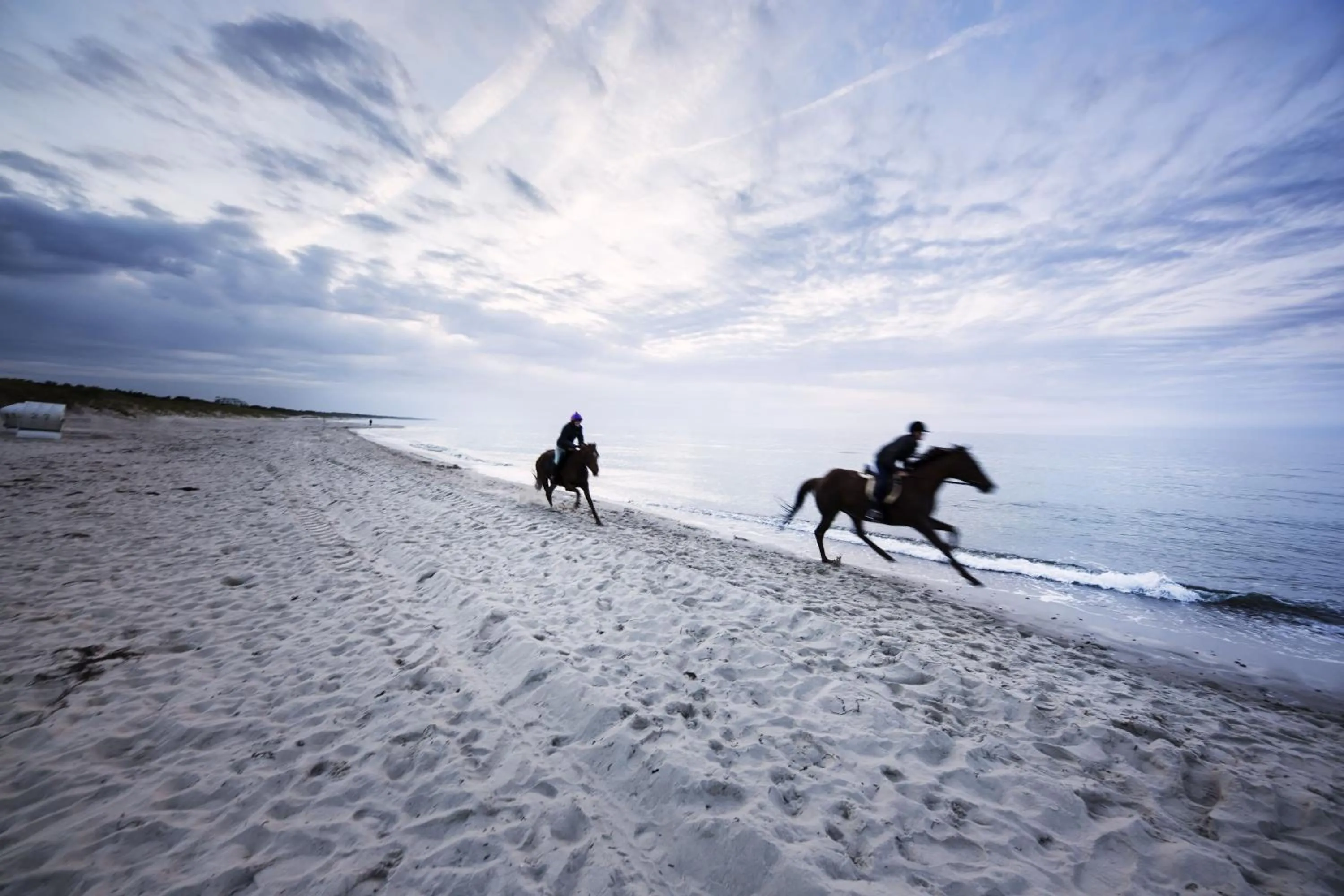 Horse-riding in Strandhotel Fischland