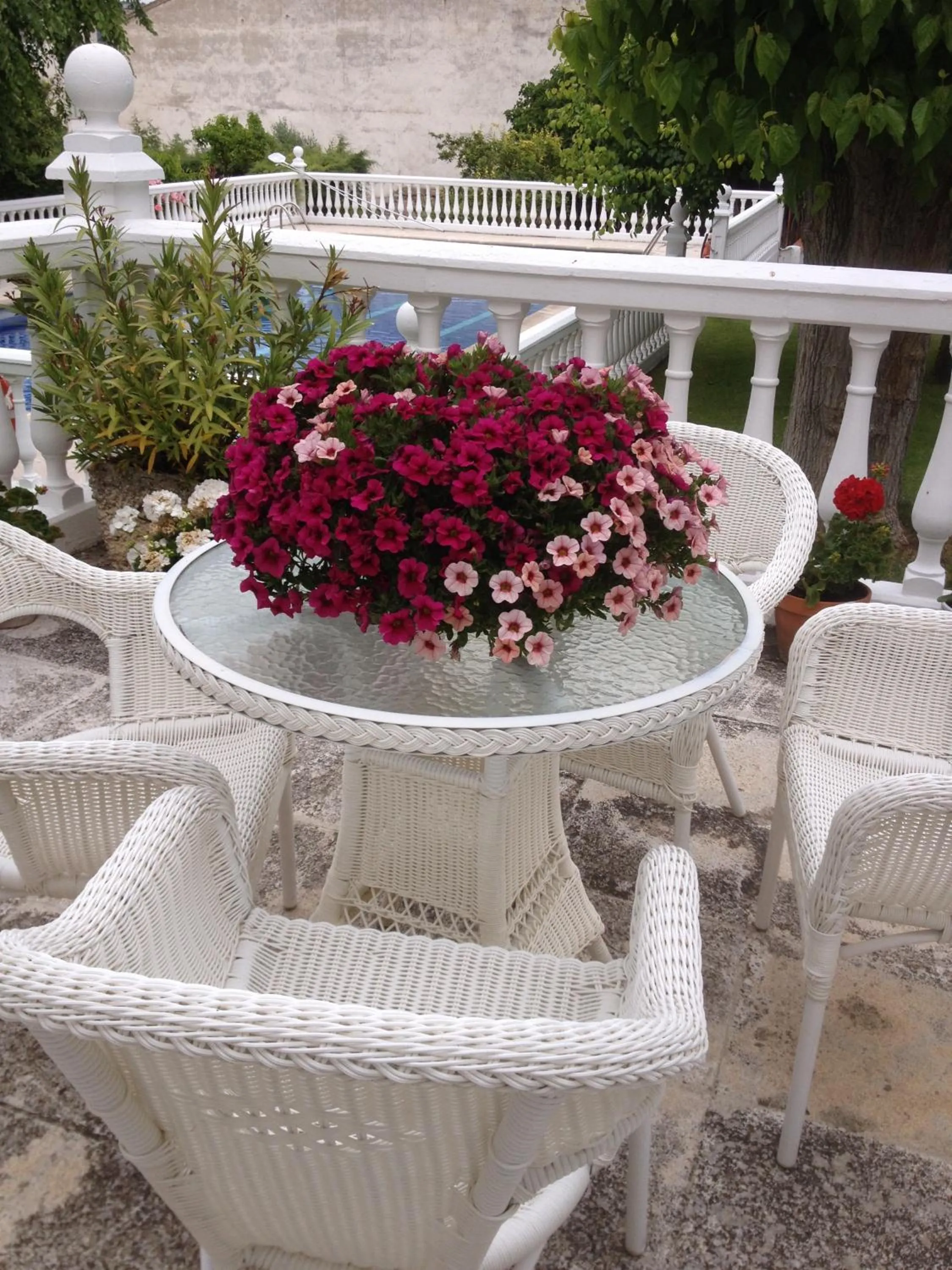 Garden view in Hotel Rural Mariblanca