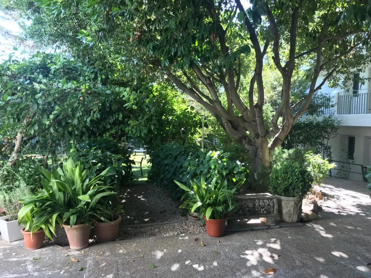 Patio in Hotel Rural Mariblanca