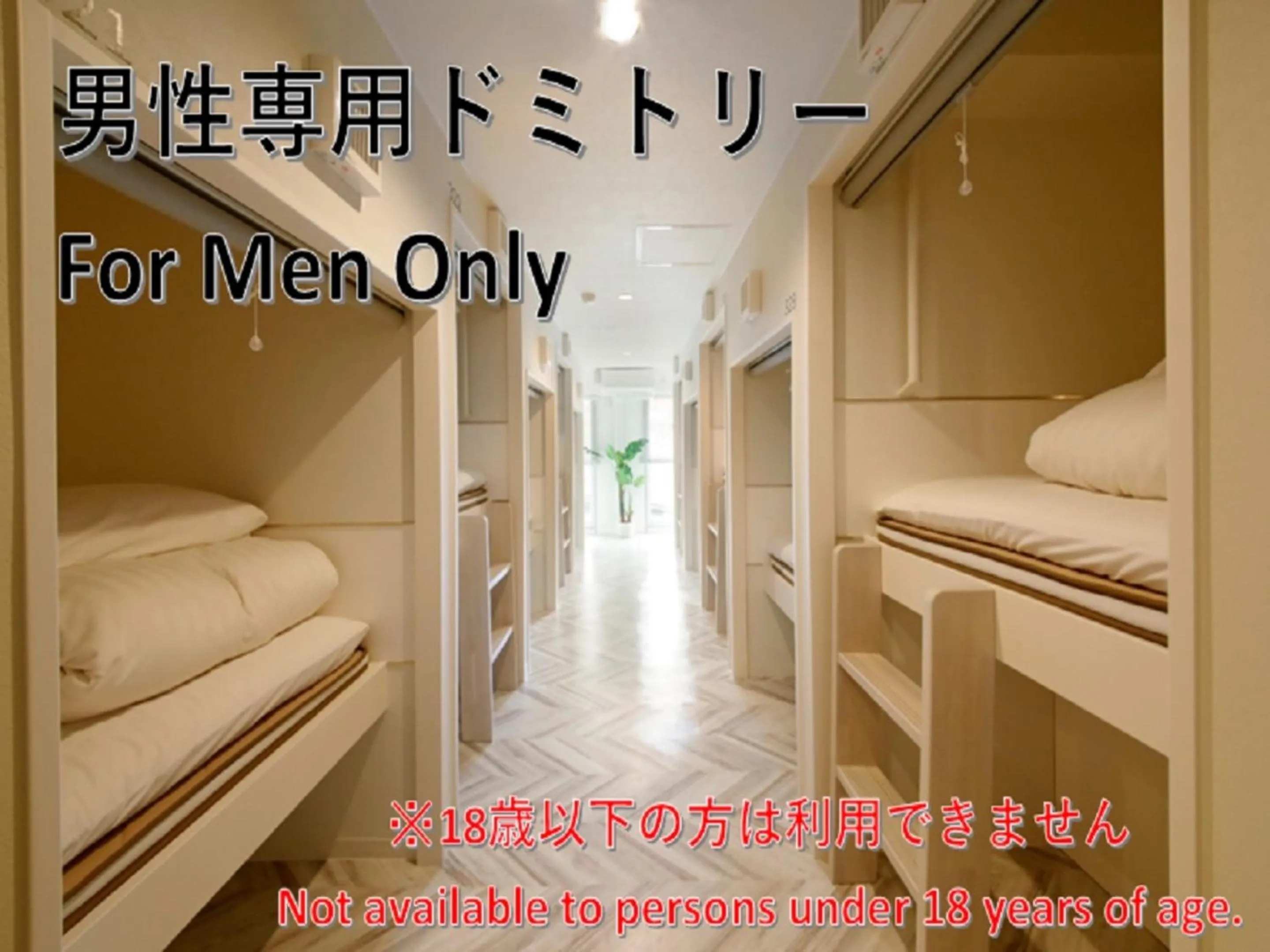 Photo of the whole room in Lestel Maru