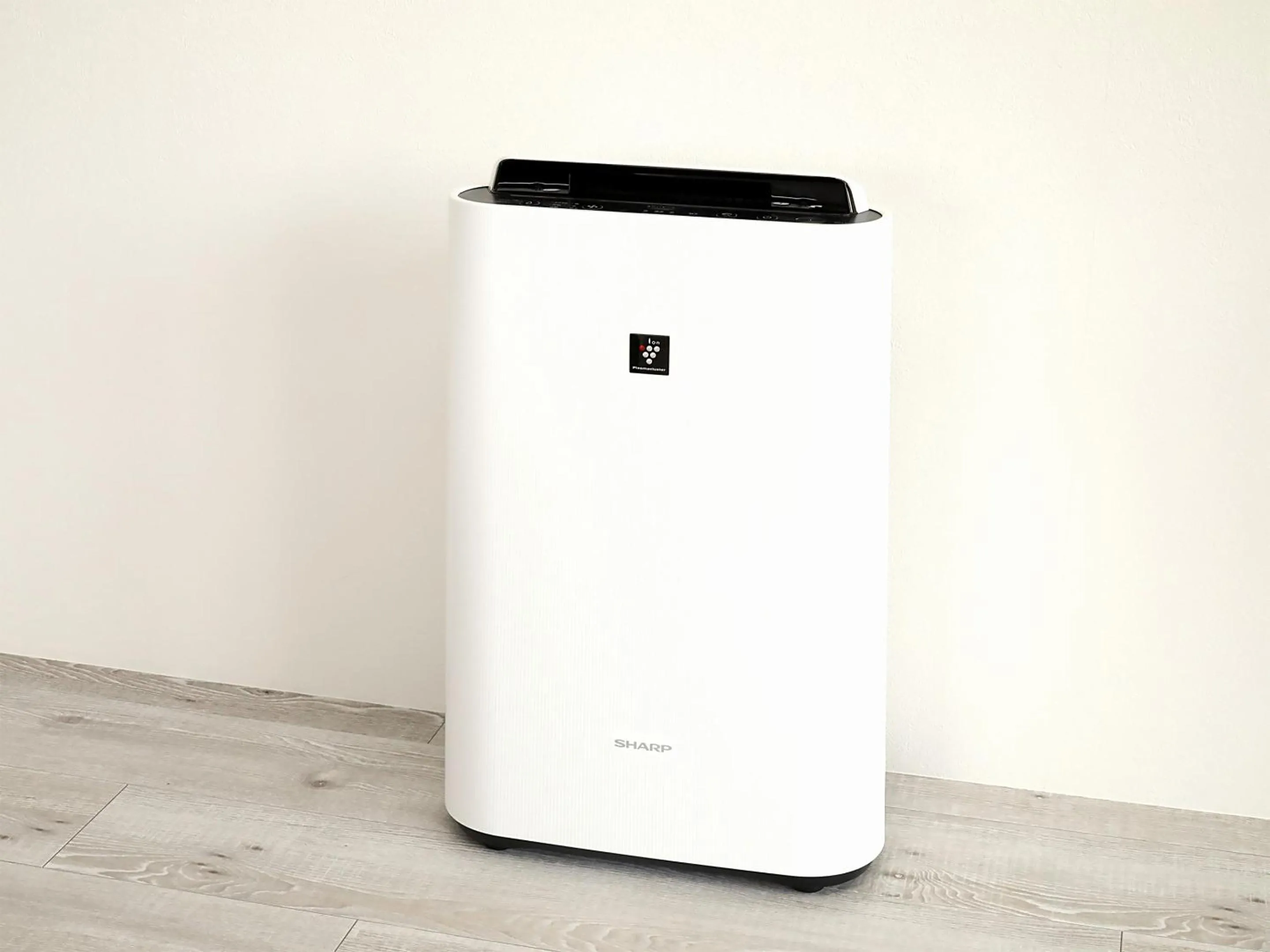 Area and facilities in Lestel Maru