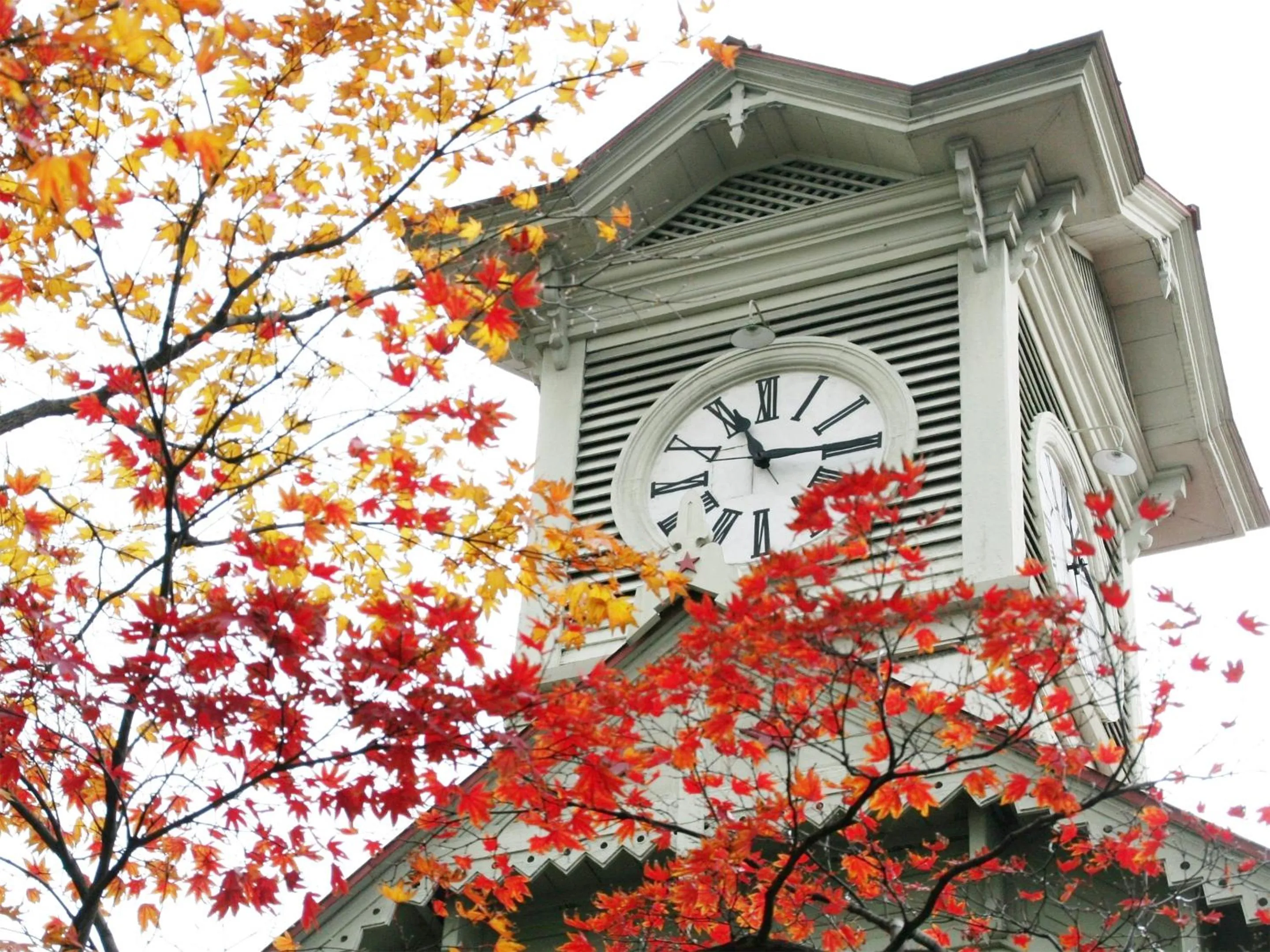 Nearby landmark in Lestel Maru