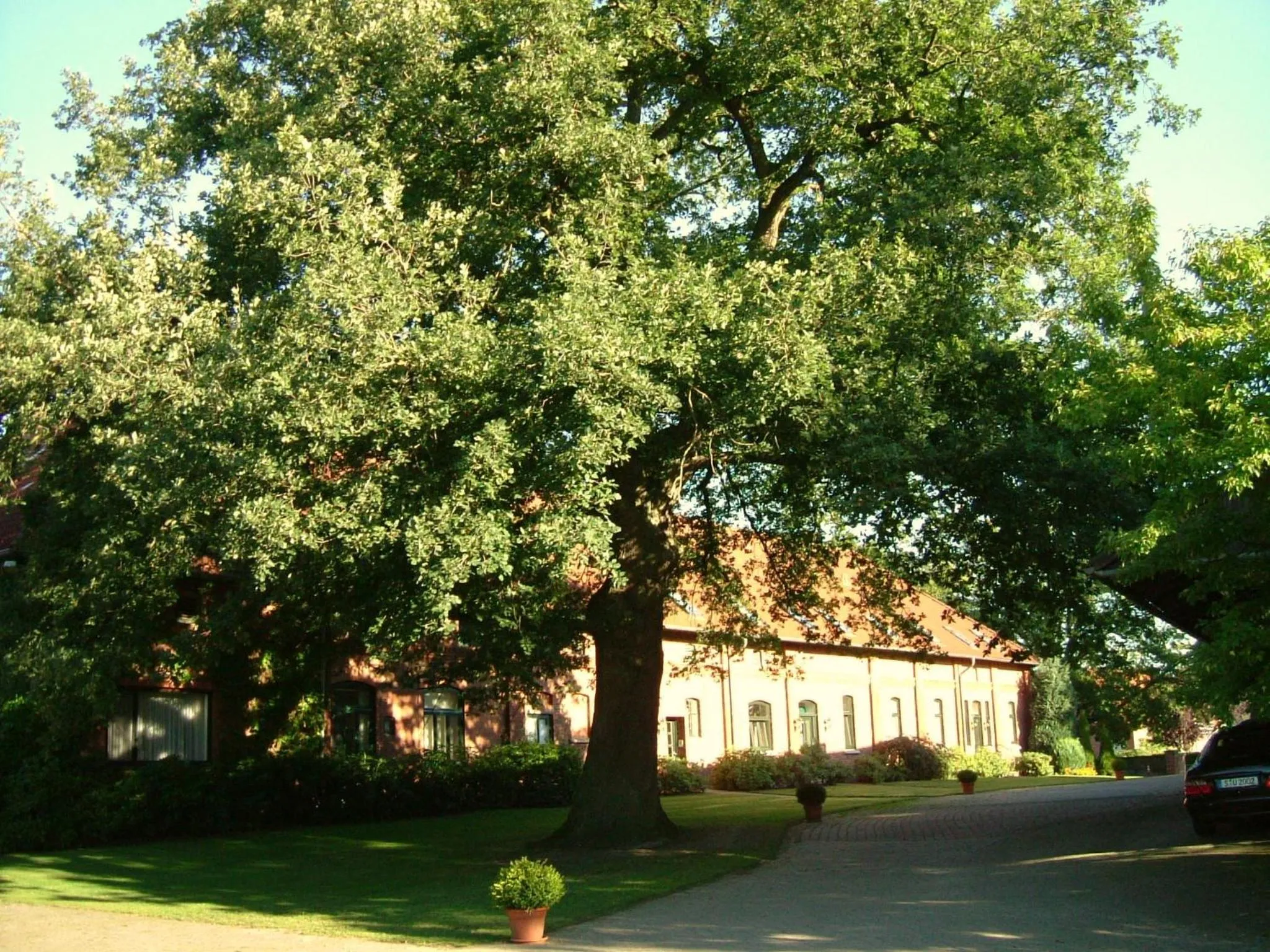Property building in Gästehaus Schlossgarten
