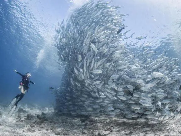 Natural landscape in Sipadan Inn 2