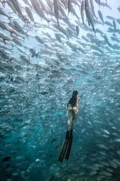 People in Sipadan Inn 2 People in Sipadan Inn 2