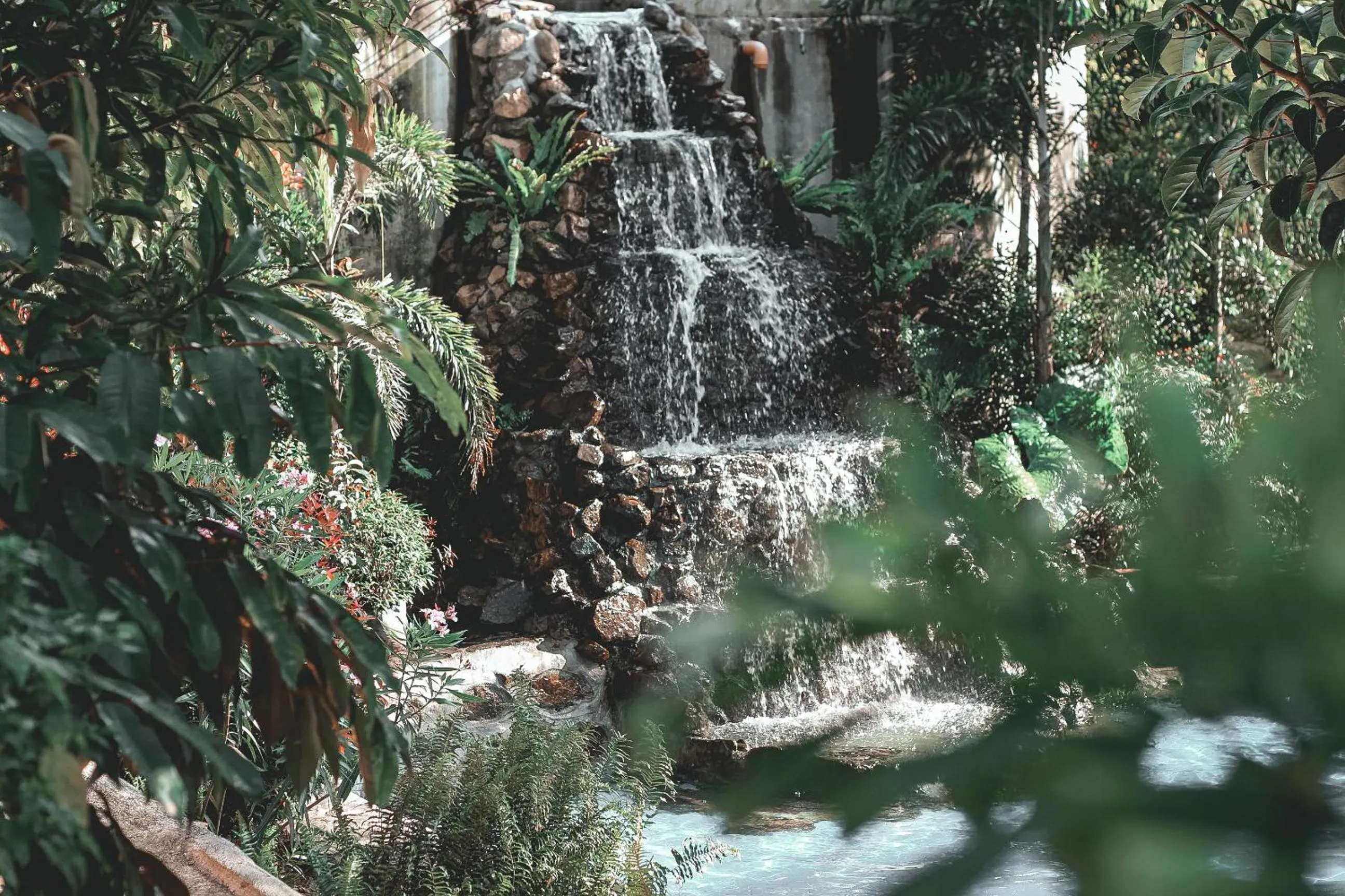 Natural landscape in Camp Paraiso Resort