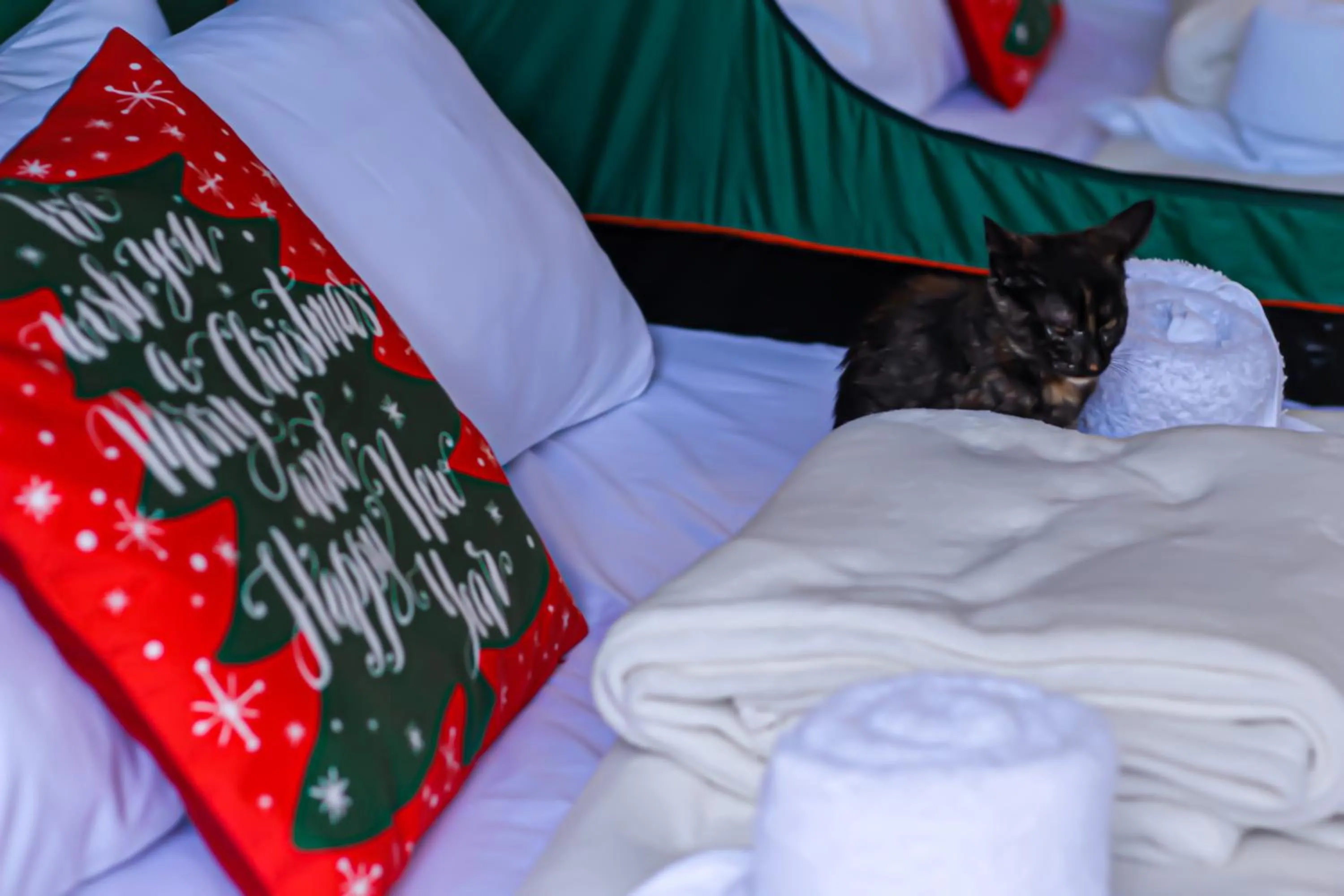 Bed in Camp Paraiso Resort