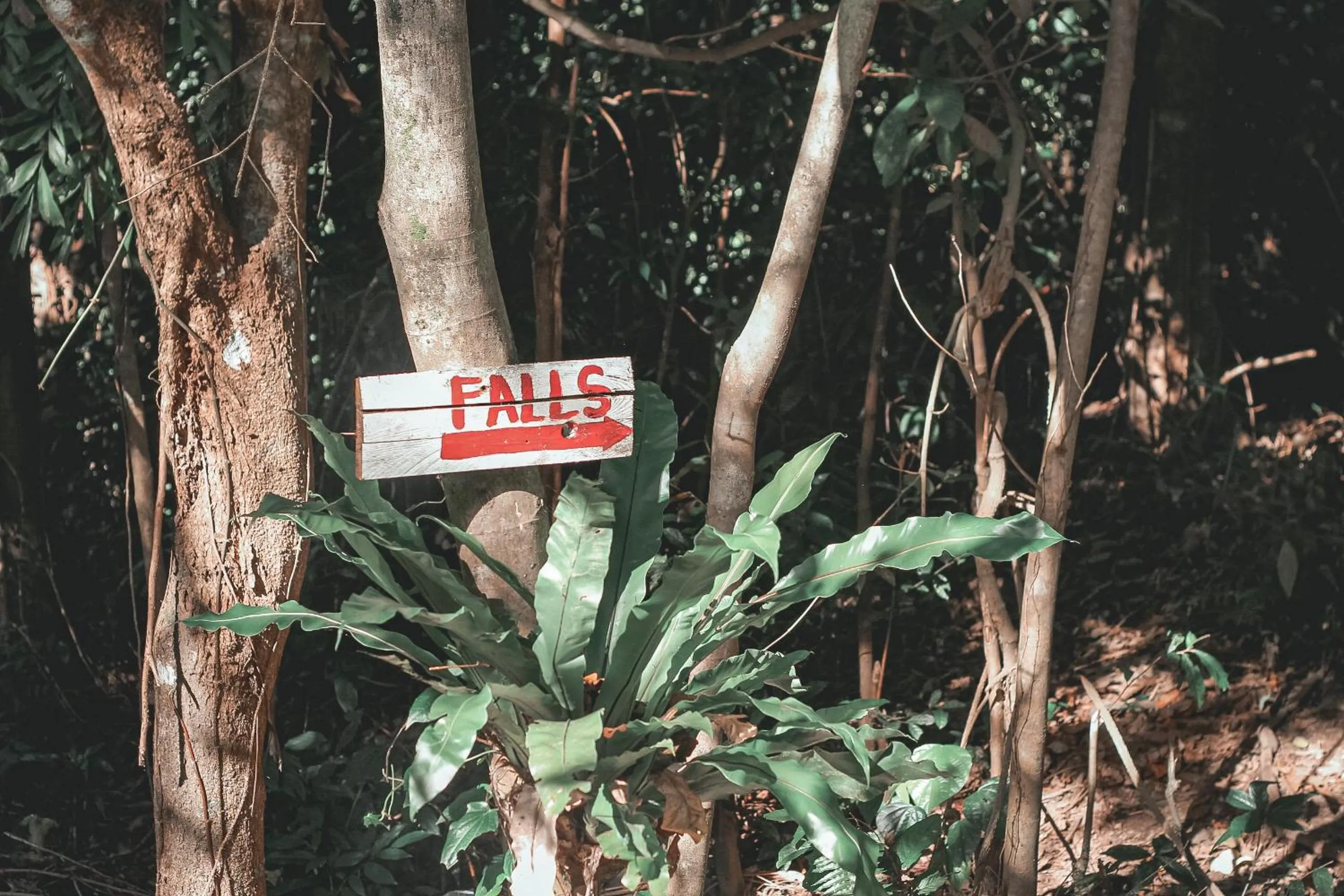 Property logo or sign in Camp Paraiso Resort