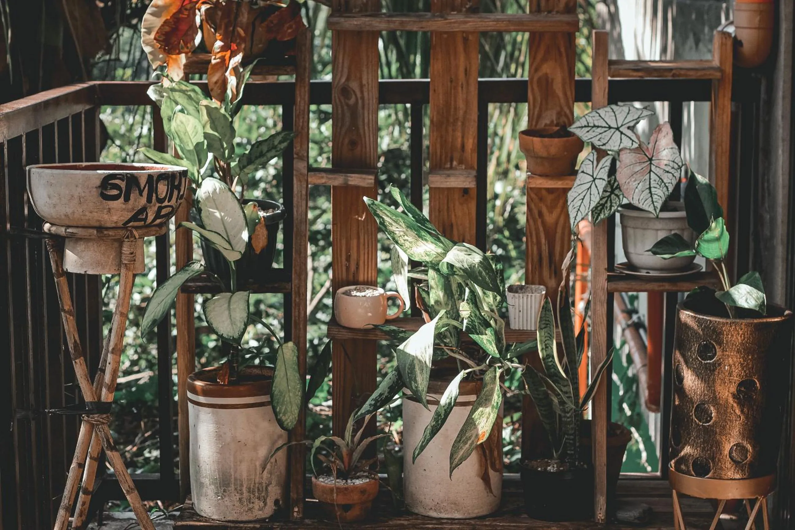 Day in Camp Paraiso Resort