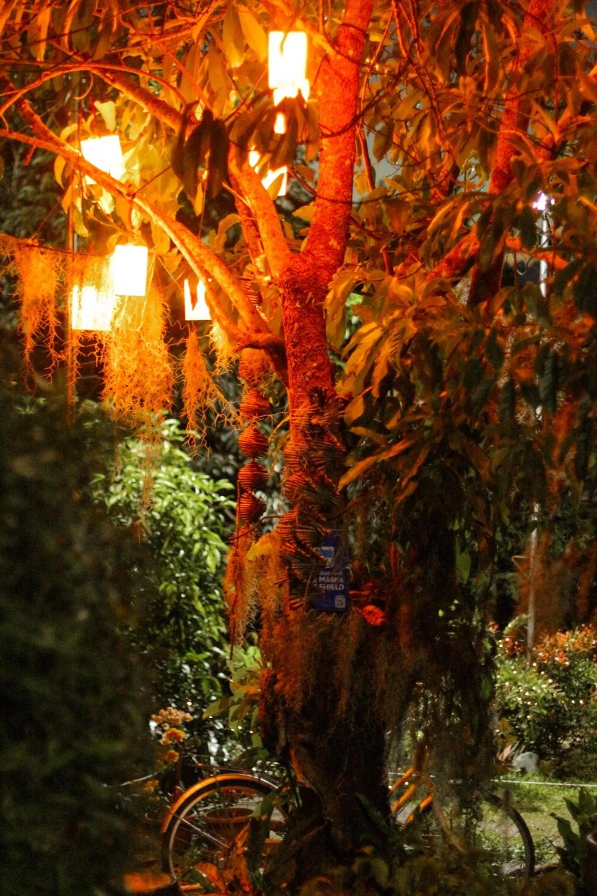 Night in Camp Paraiso Resort