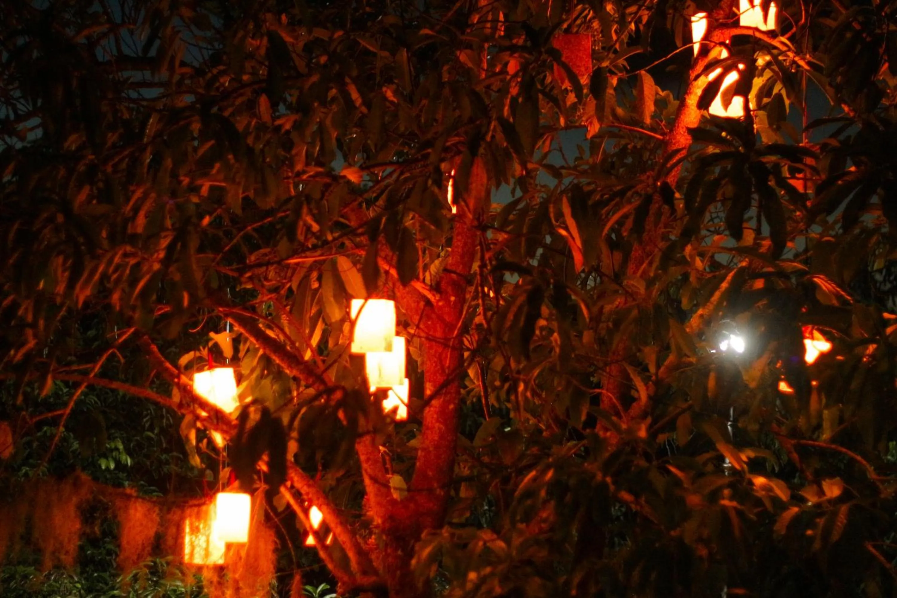 Night in Camp Paraiso Resort