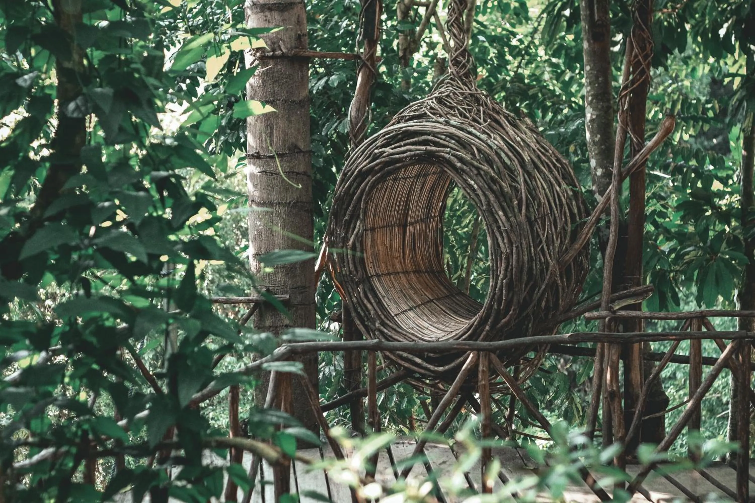 Natural landscape in Camp Paraiso Resort