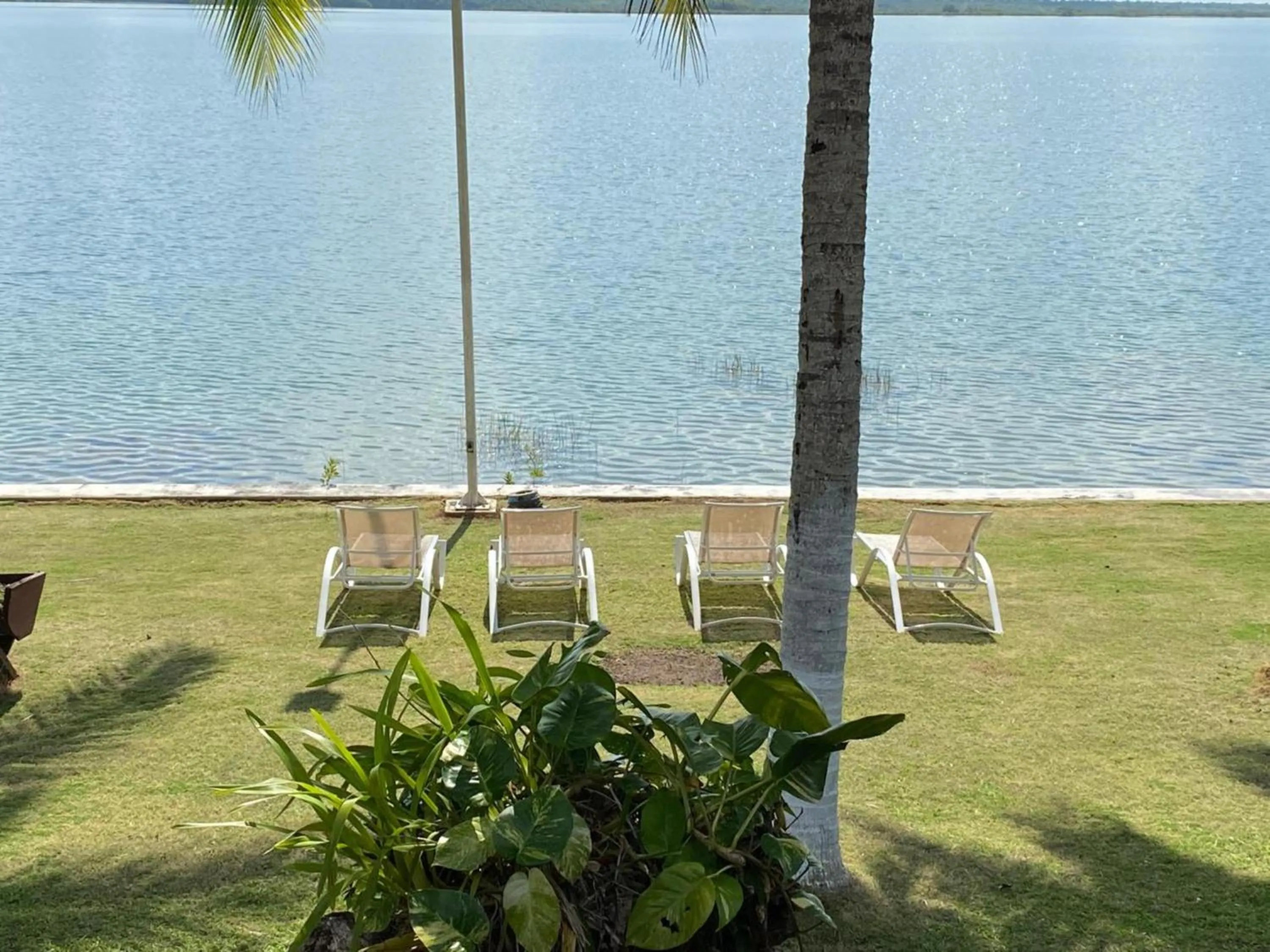 Garden in Coras Place Bacalar Lagoon front