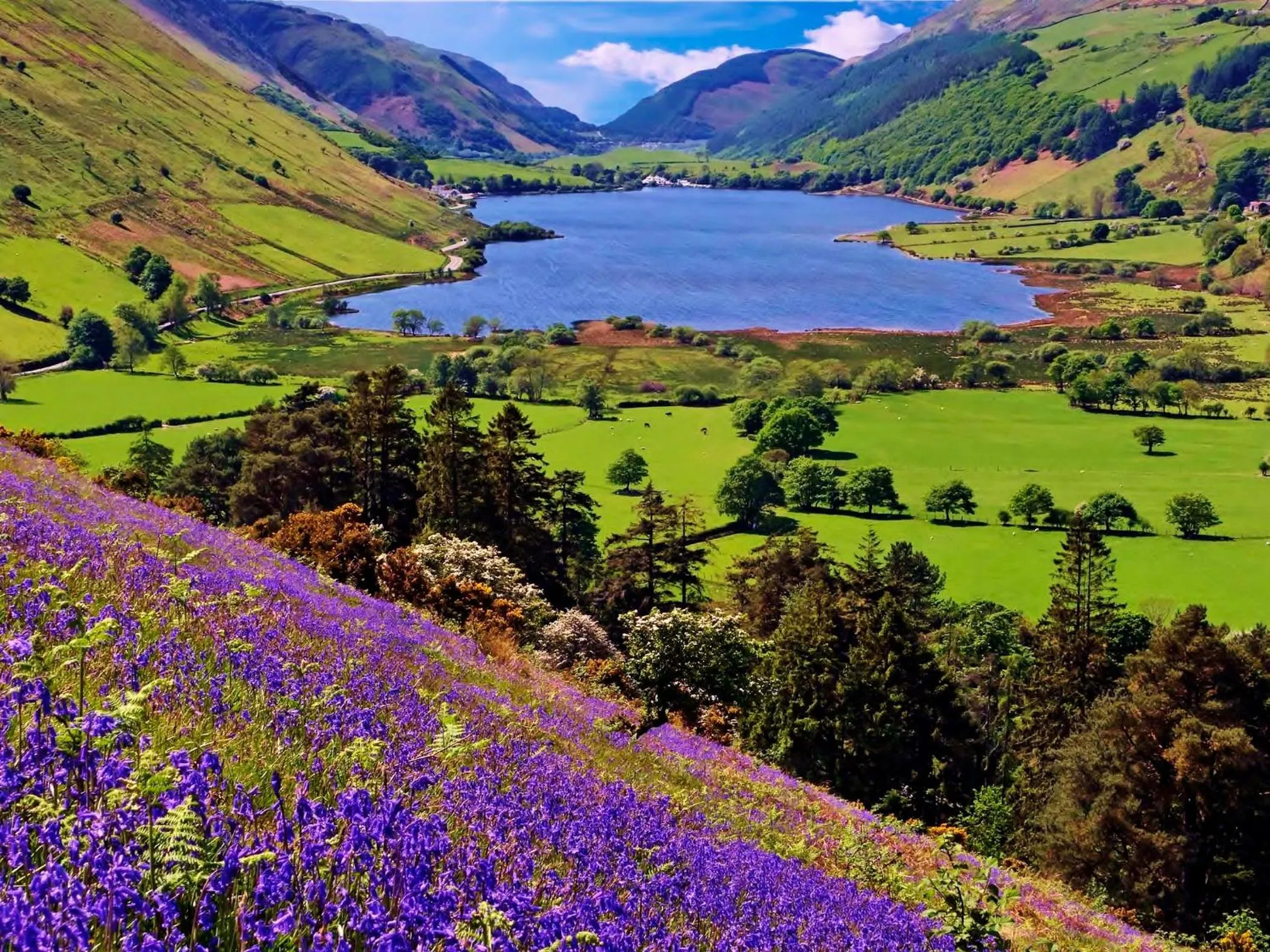Natural landscape in Pen-Y-Bont Hotel