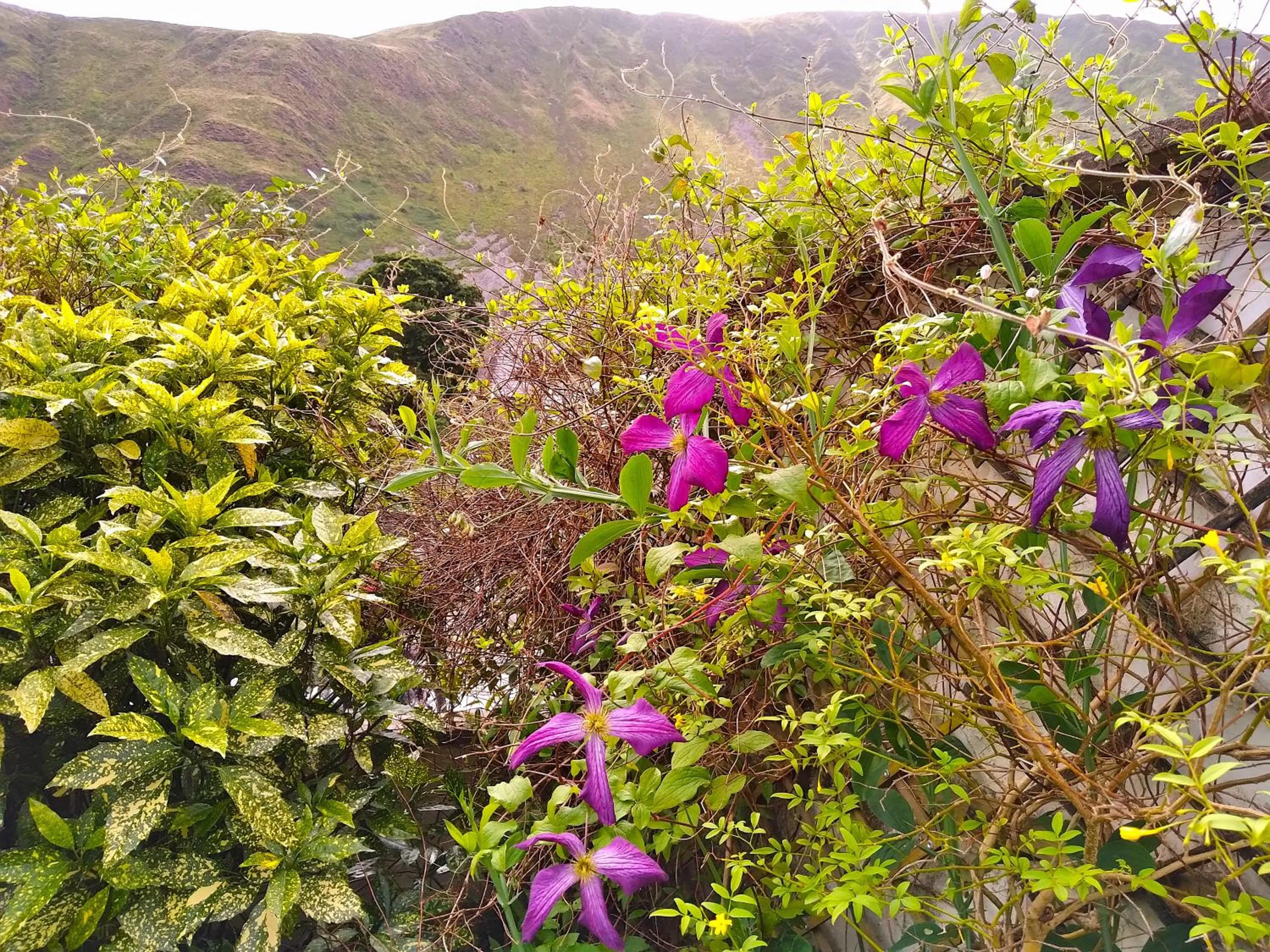 View (from property/room) in Pen-Y-Bont Hotel