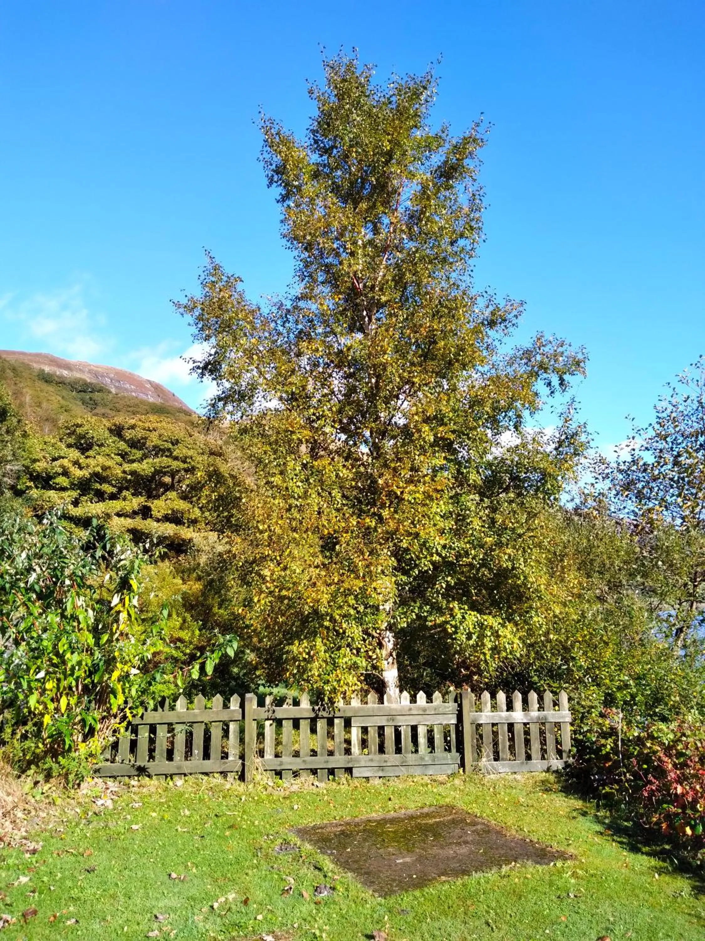 Garden in Pen-Y-Bont Hotel