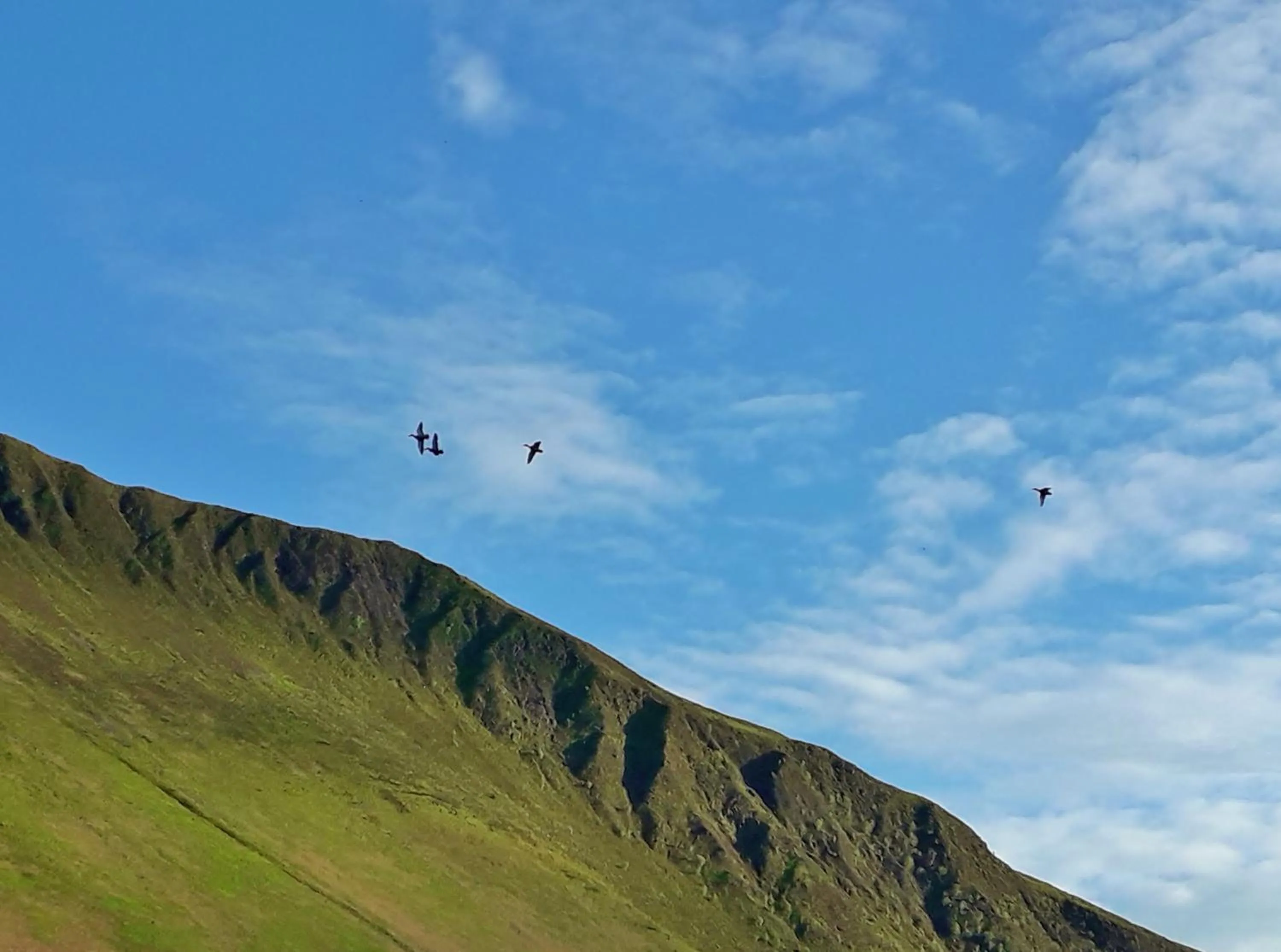 Natural landscape in Pen-Y-Bont Hotel