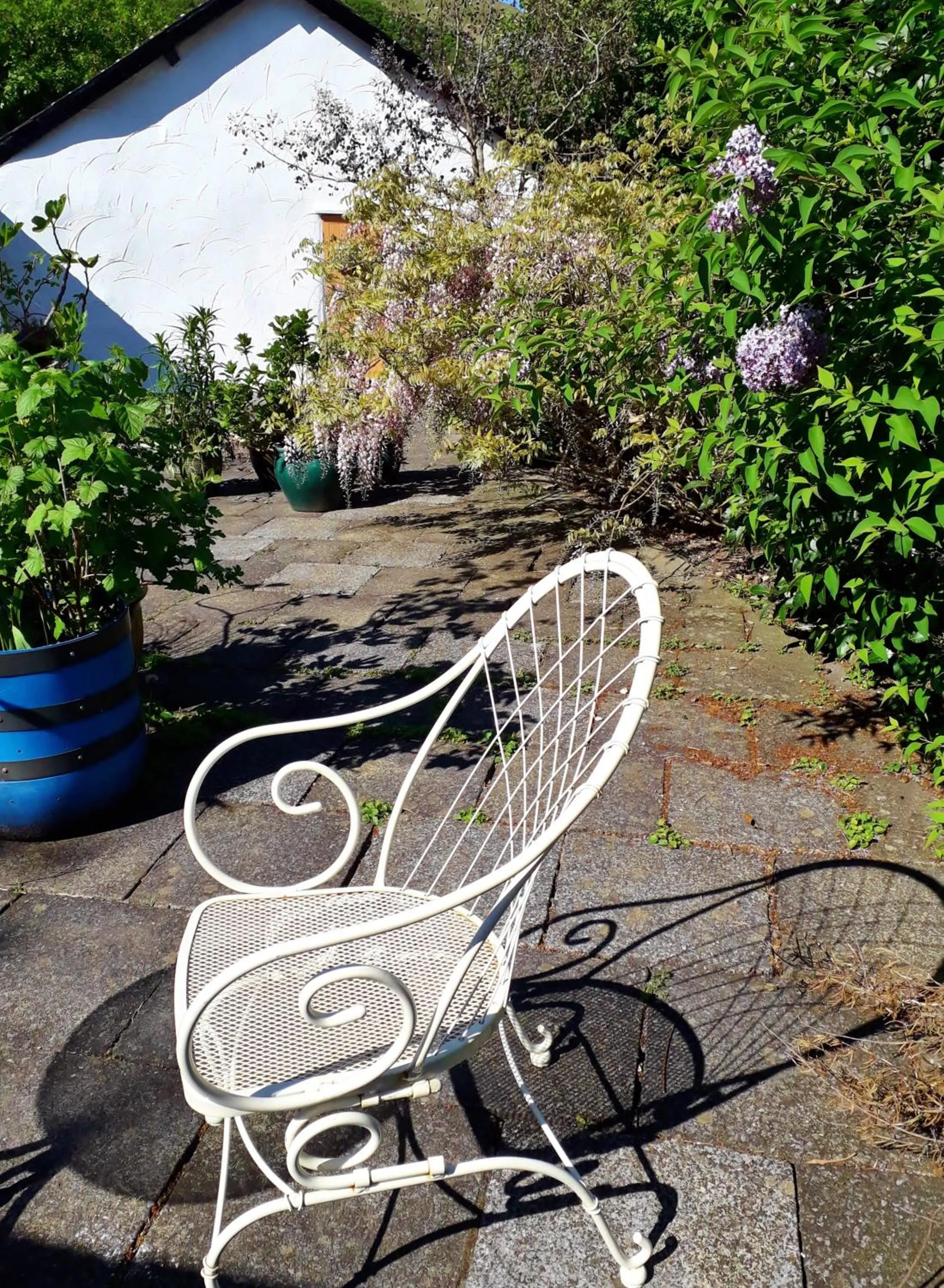 Garden in Pen-Y-Bont Hotel