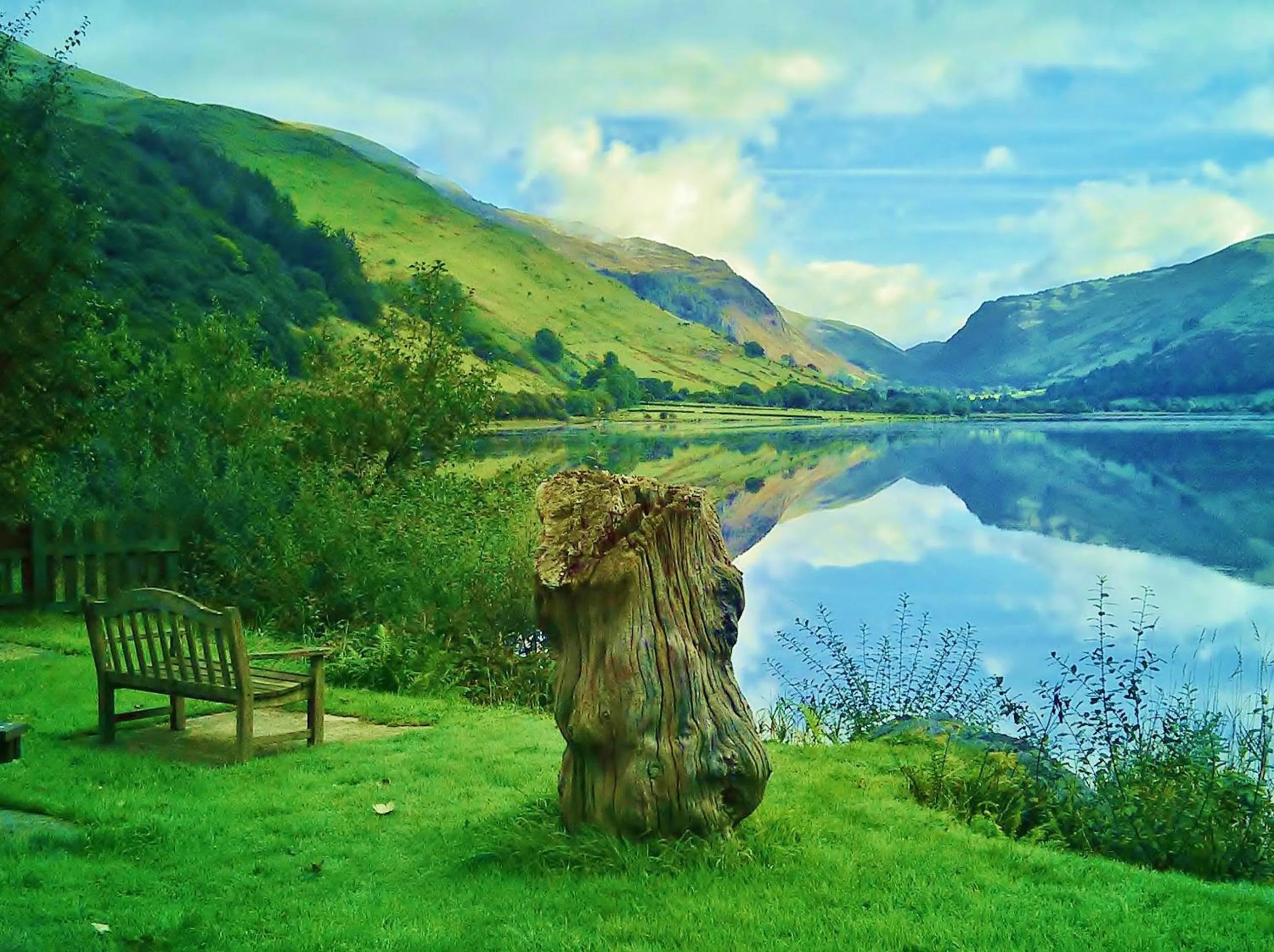 Garden in Pen-Y-Bont Hotel