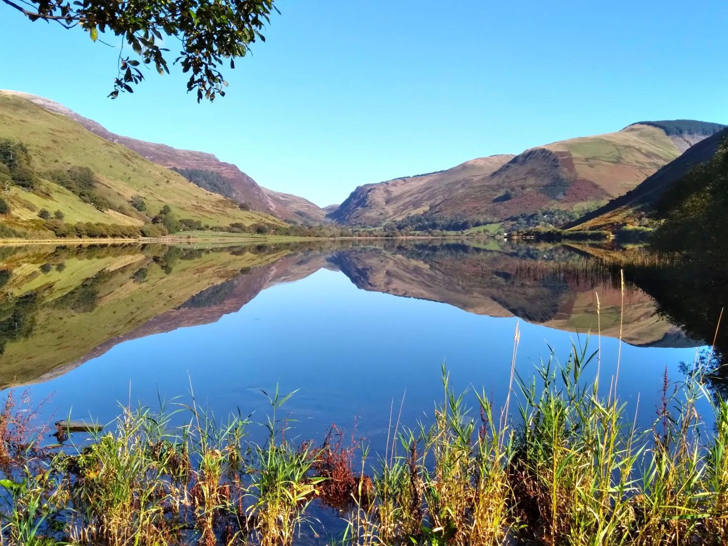Lake view in Pen-Y-Bont Hotel