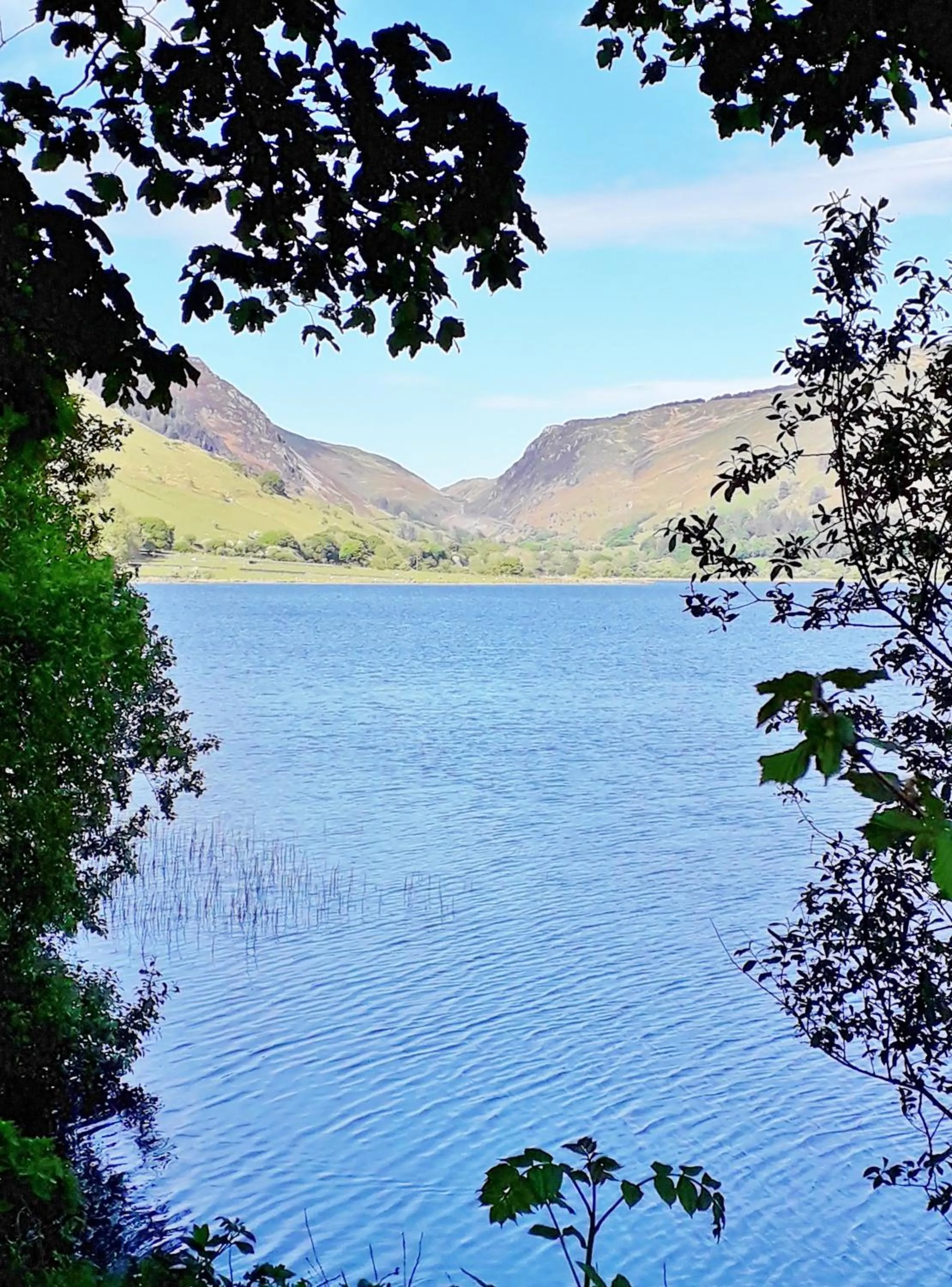 Lake view in Pen-Y-Bont Hotel