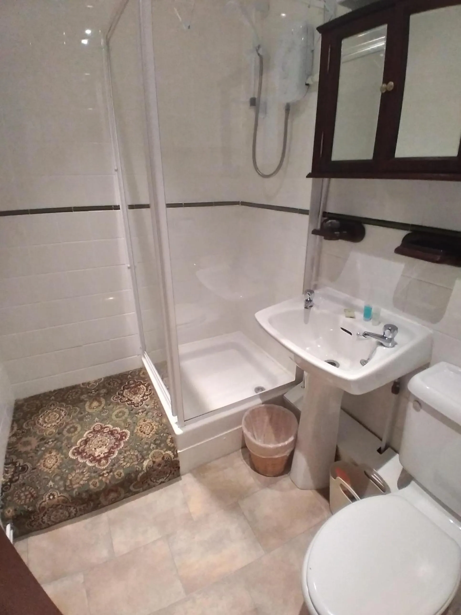 Shower in Pen-Y-Bont Hotel