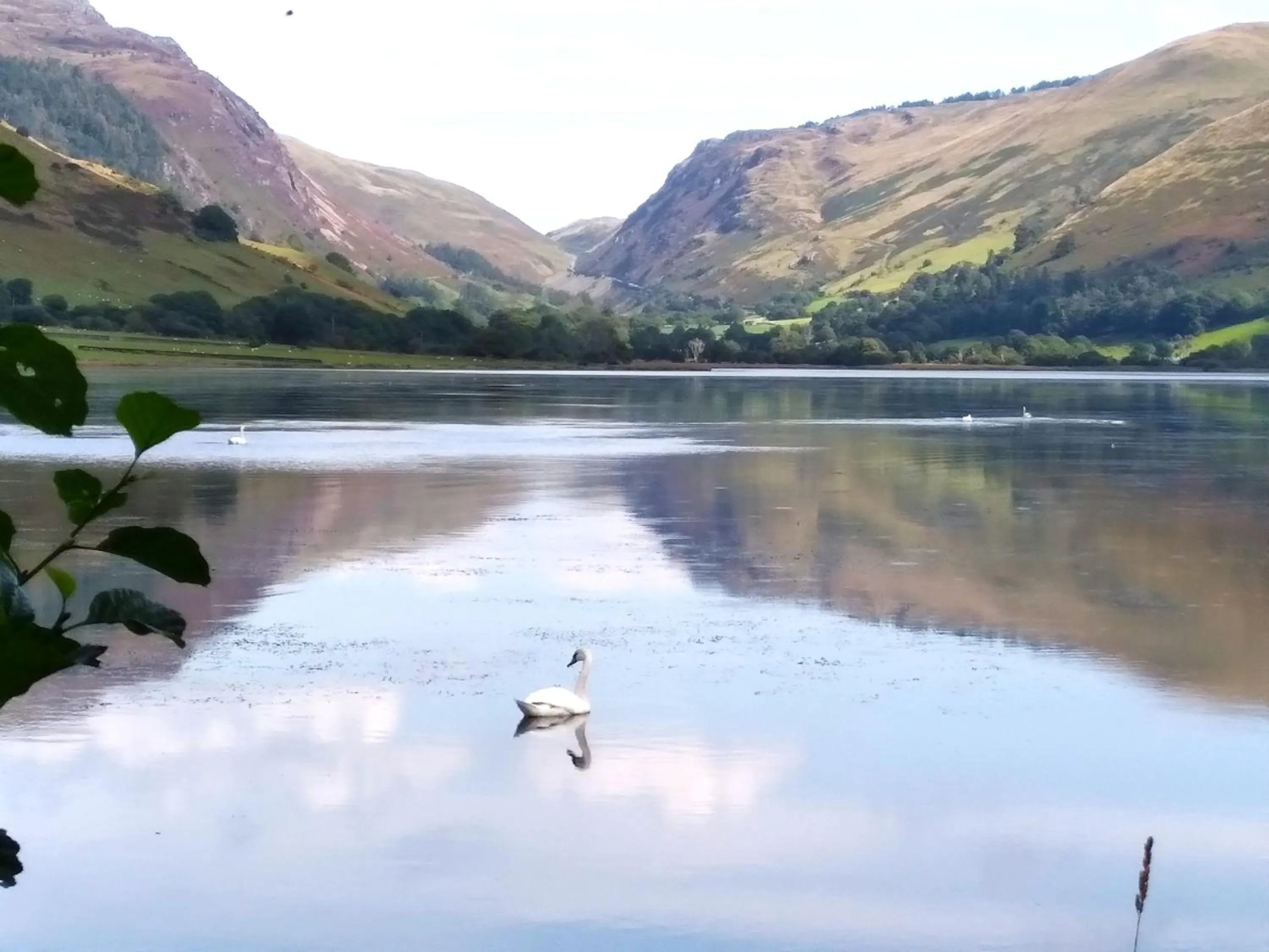 Natural landscape in Pen-Y-Bont Hotel