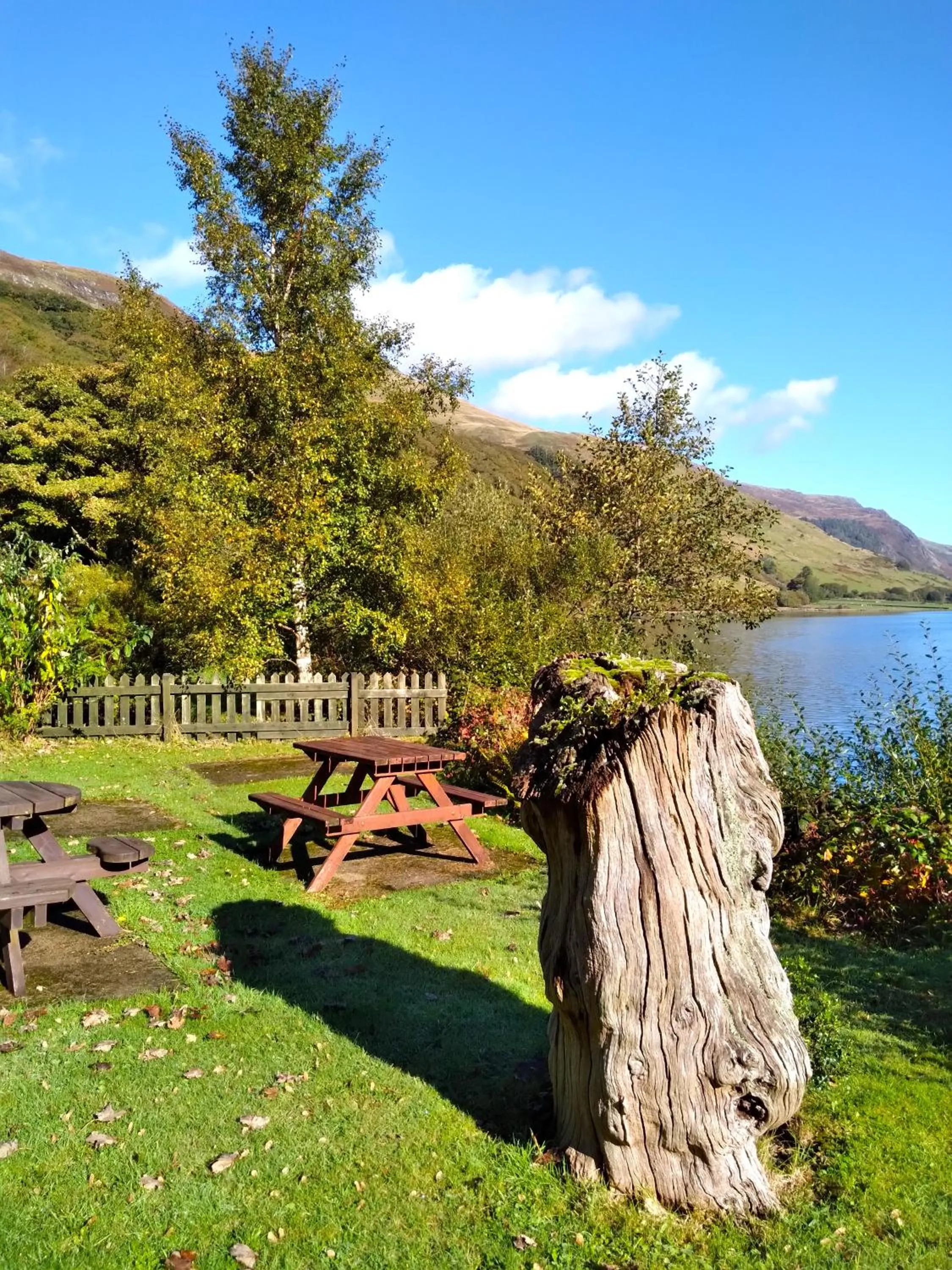 Garden in Pen-Y-Bont Hotel