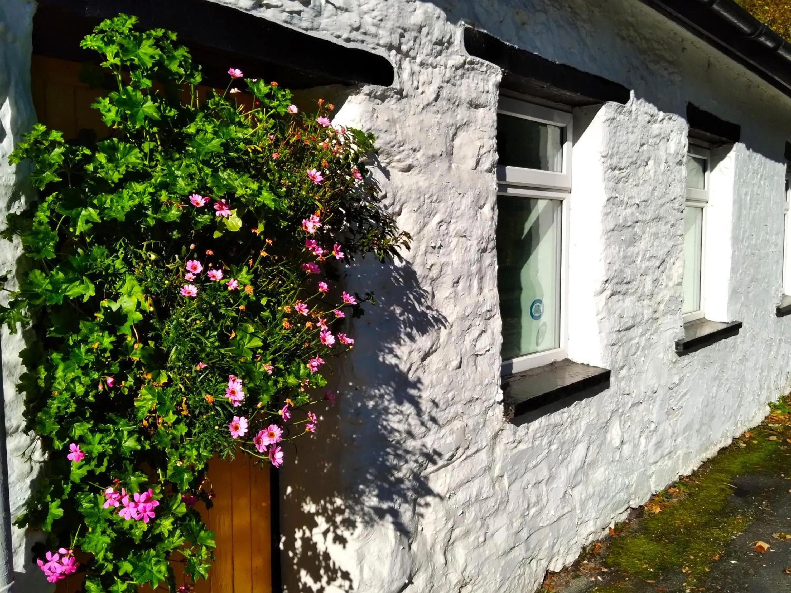 Property building in Pen-Y-Bont Hotel