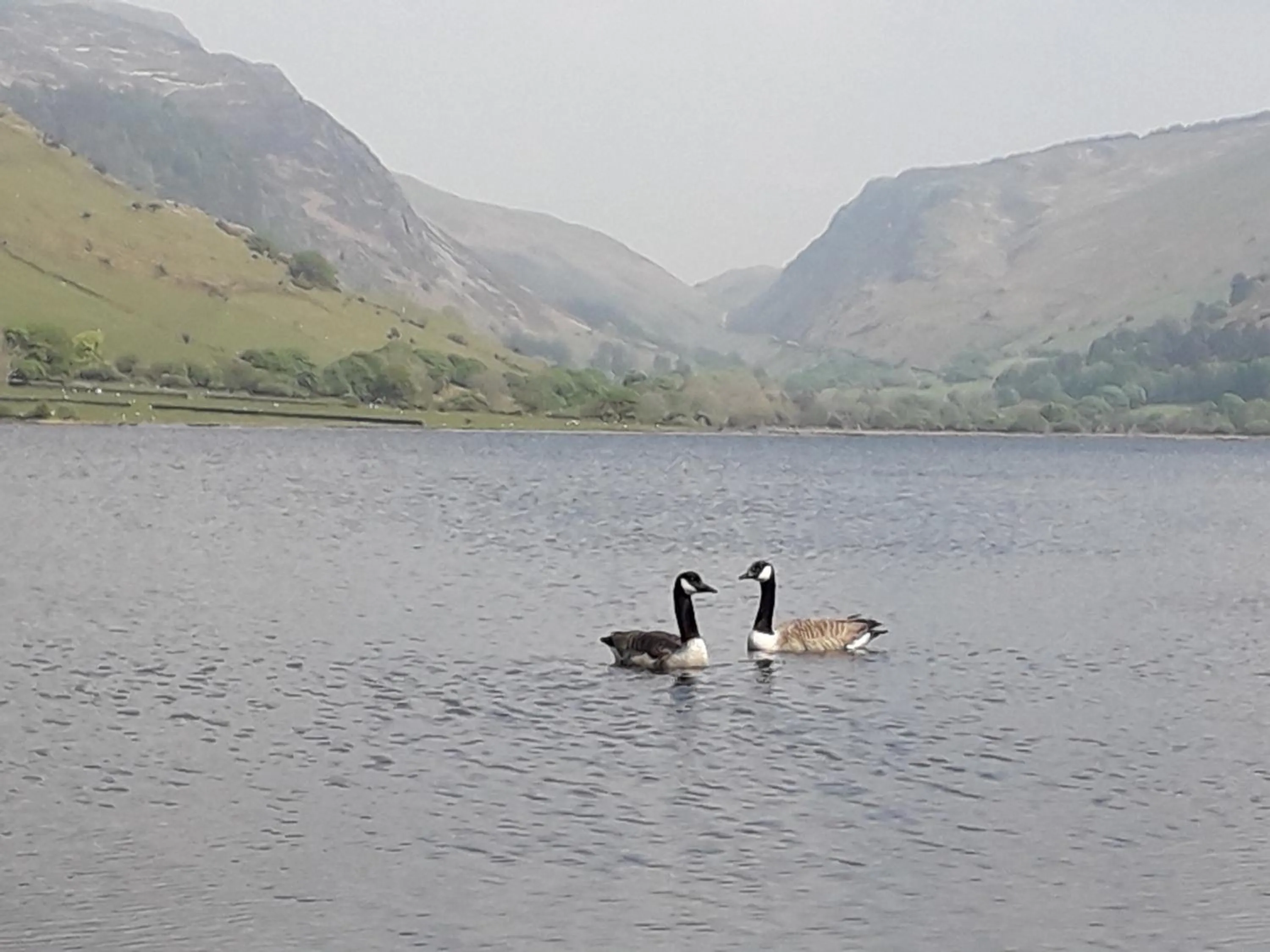 Natural landscape in Pen-Y-Bont Hotel