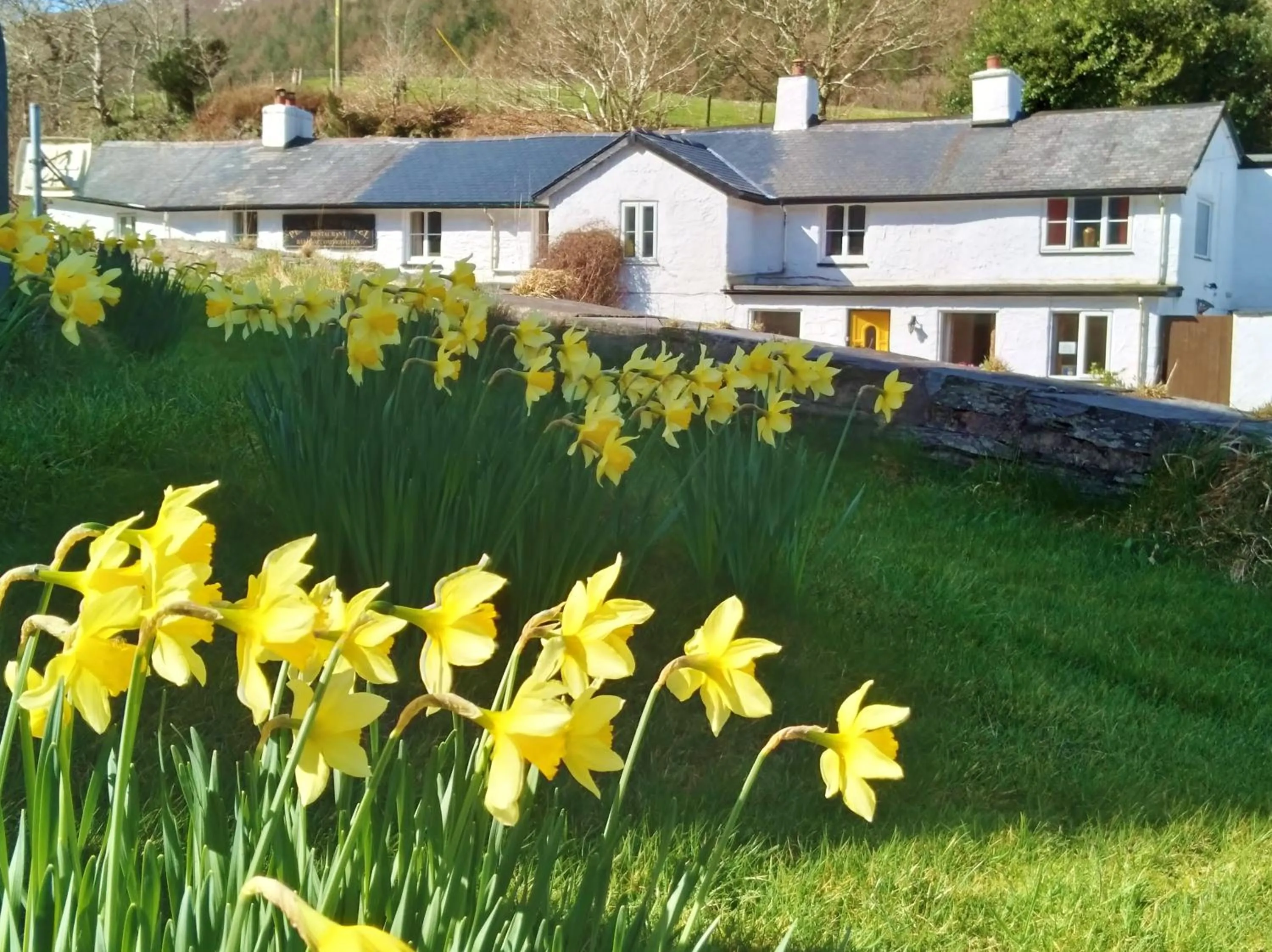 Property building in Pen-Y-Bont Hotel