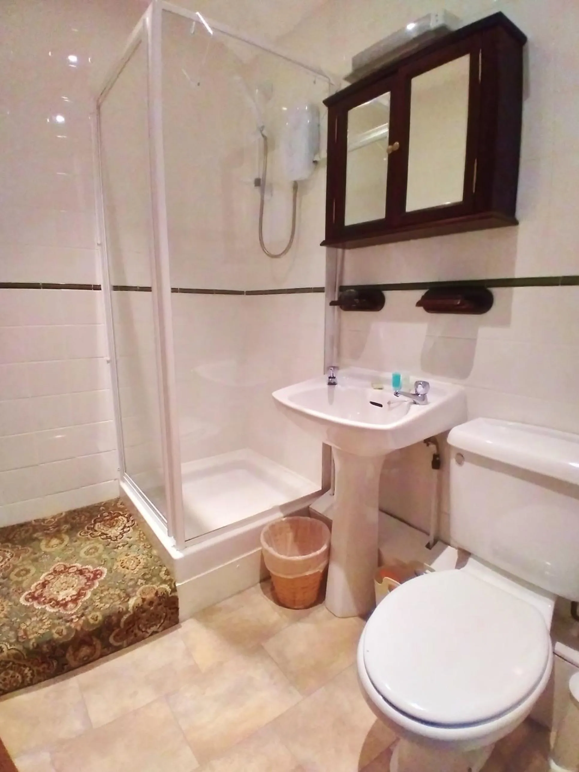 Shower in Pen-Y-Bont Hotel