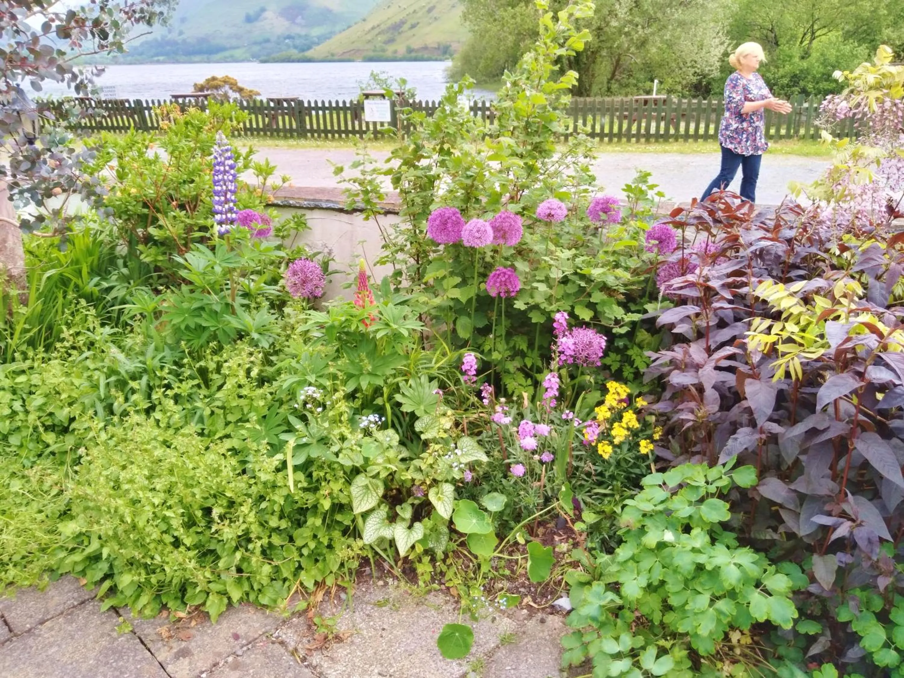 Garden in Pen-Y-Bont Hotel