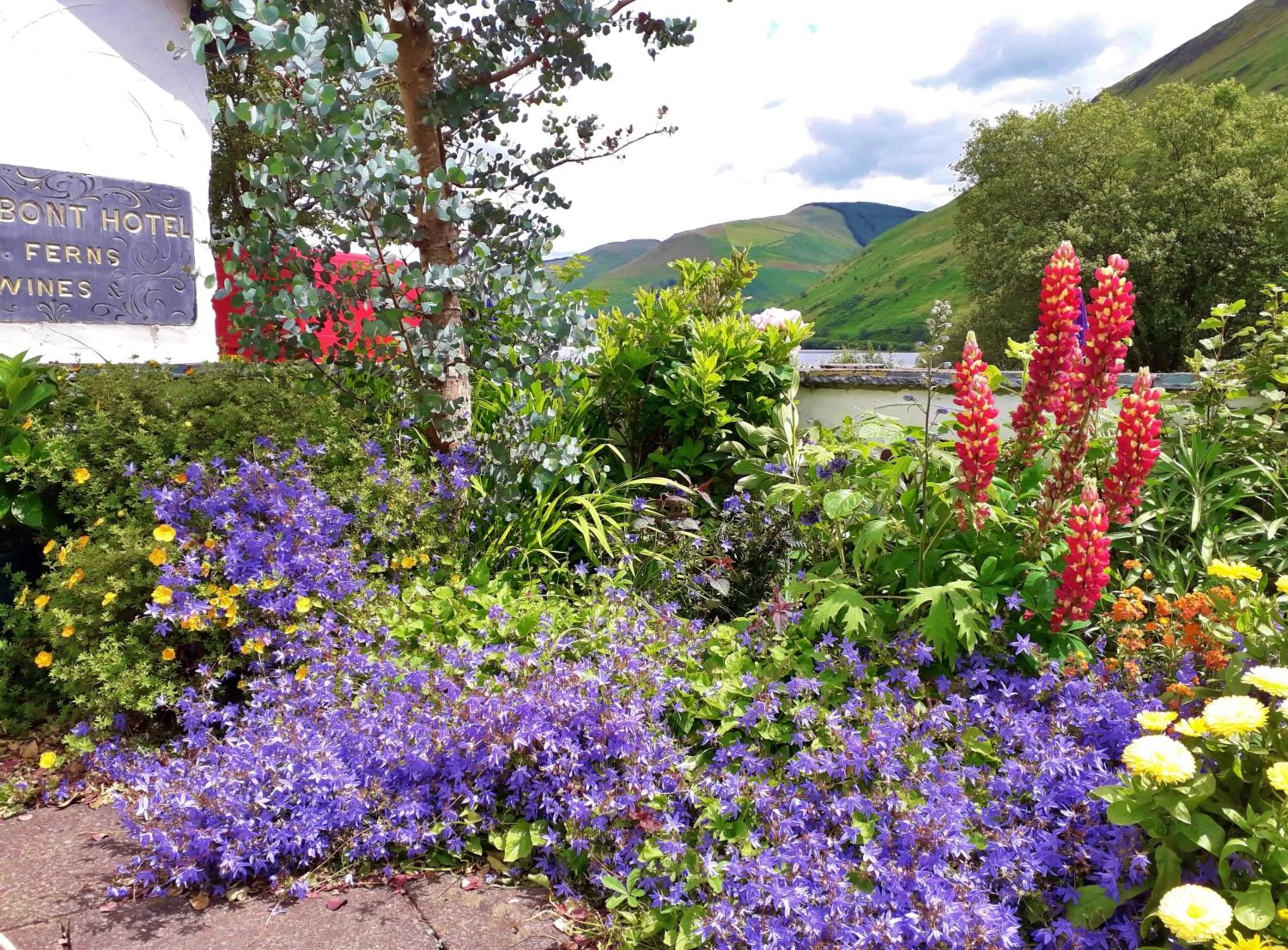 Garden in Pen-Y-Bont Hotel