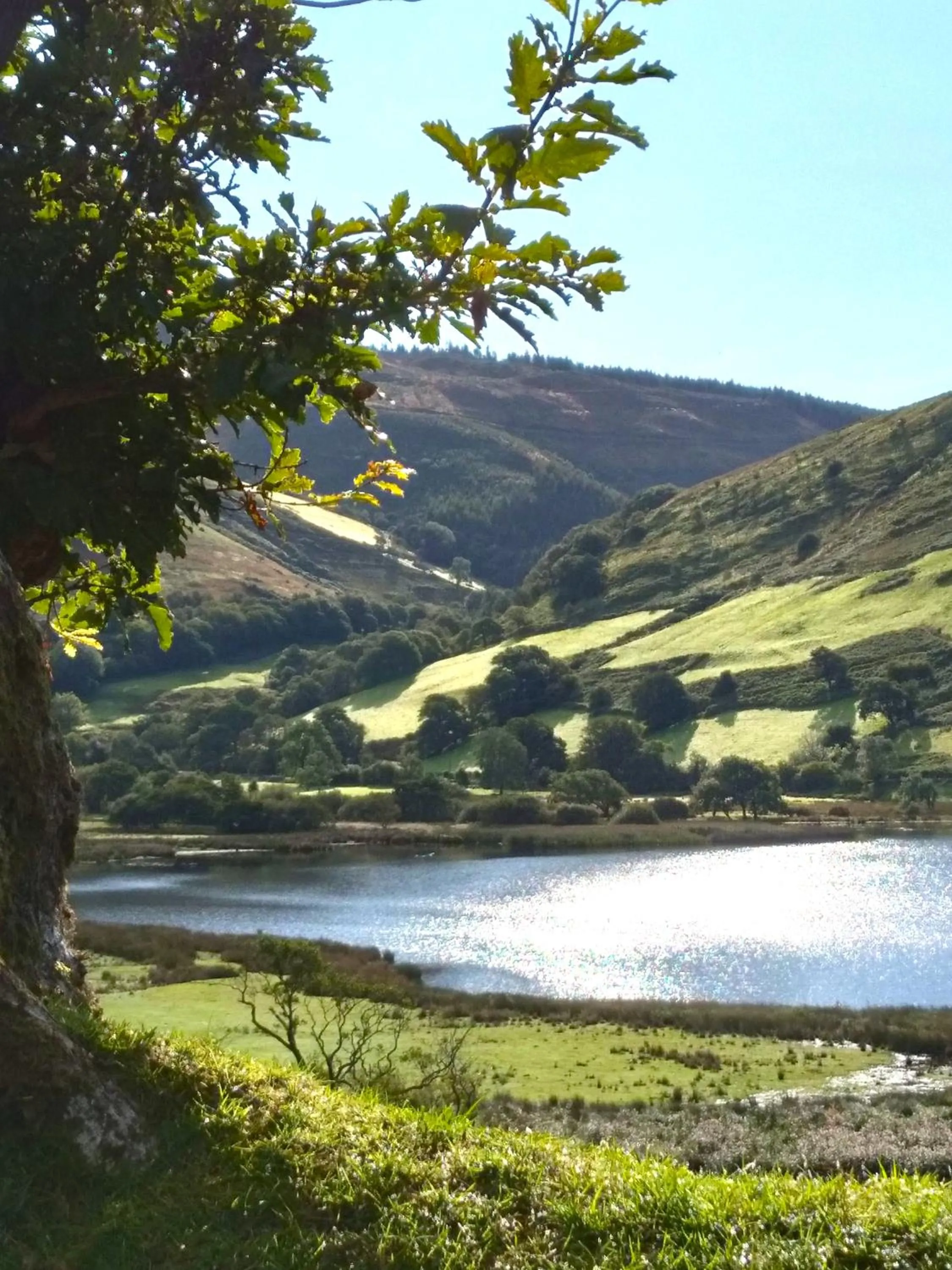 Neighbourhood in Pen-Y-Bont Hotel