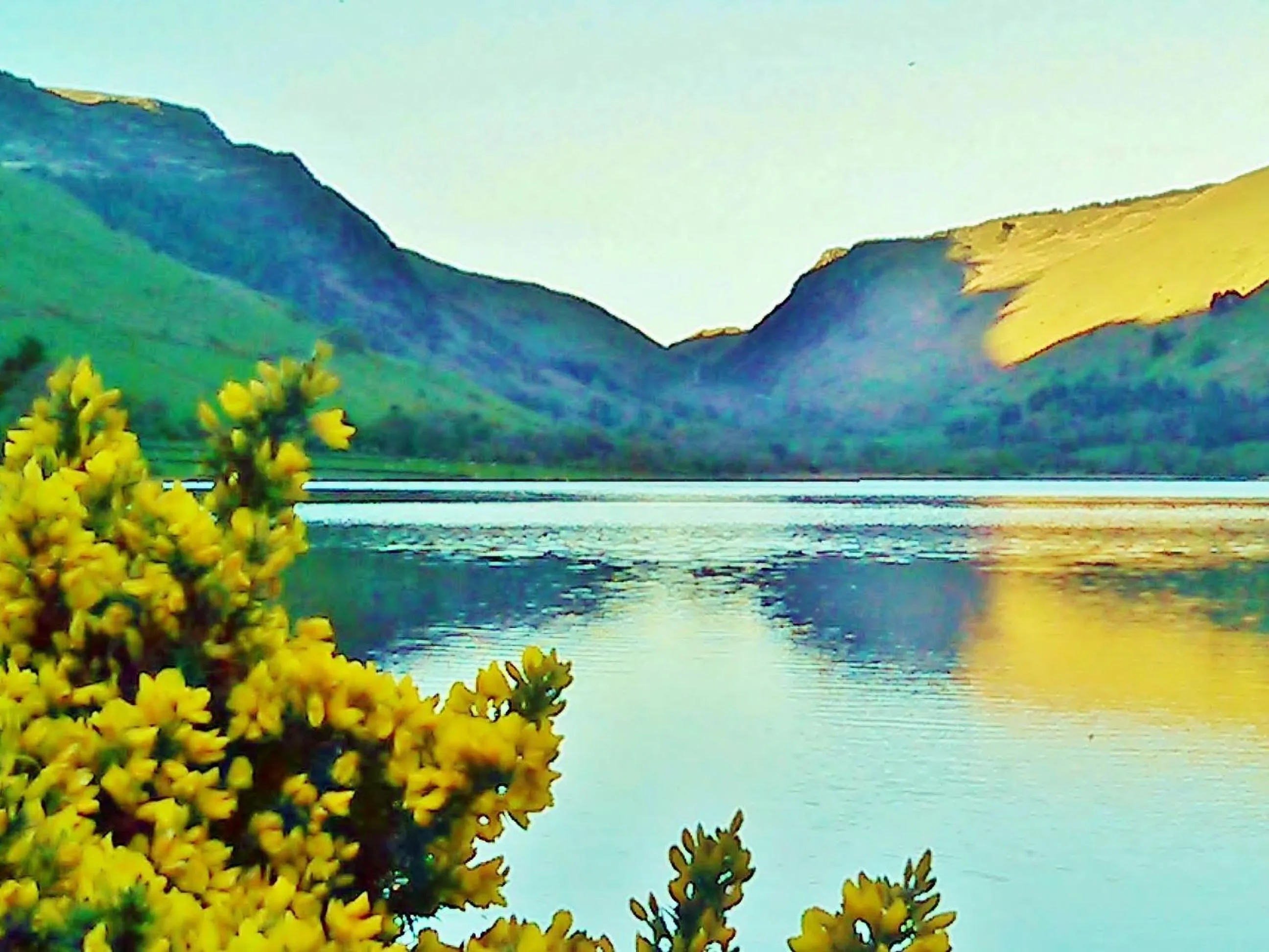 Natural landscape in Pen-Y-Bont Hotel