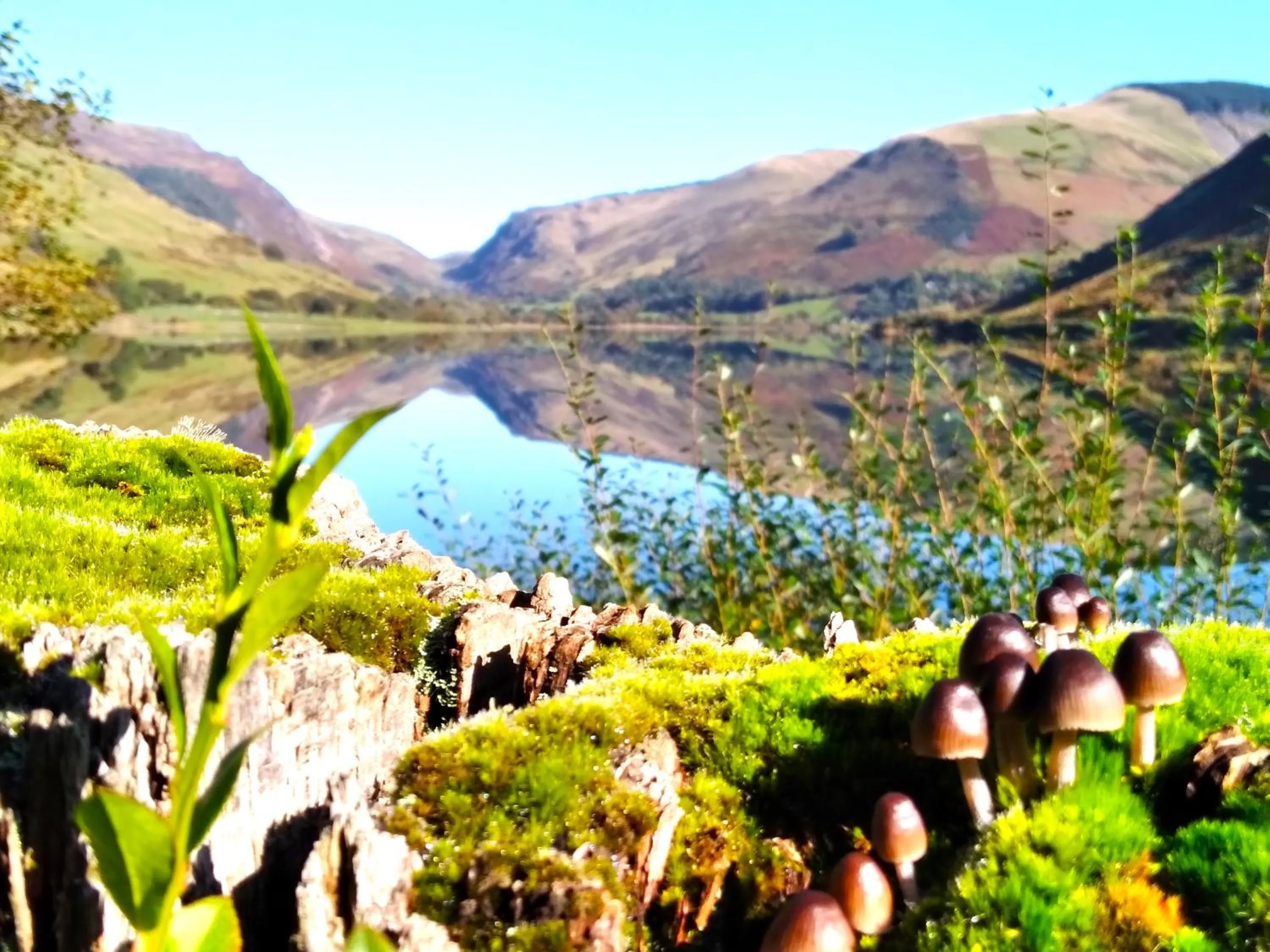 Lake view in Pen-Y-Bont Hotel