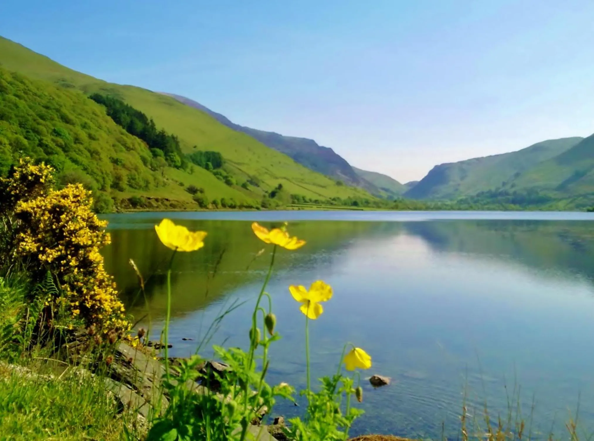 Natural landscape in Pen-Y-Bont Hotel