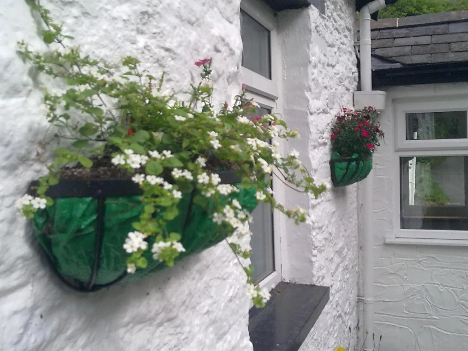 Summer in Pen-Y-Bont Hotel
