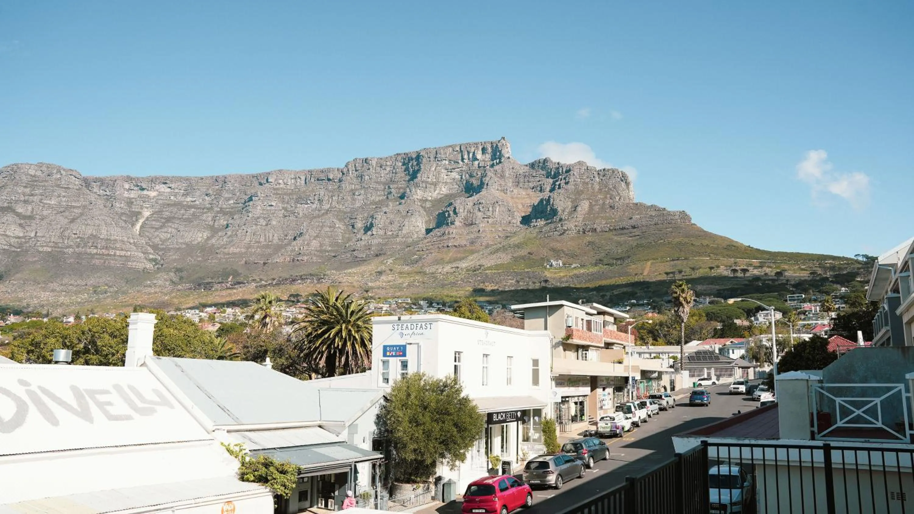 Natural landscape in CURIOCITY Kloof Street